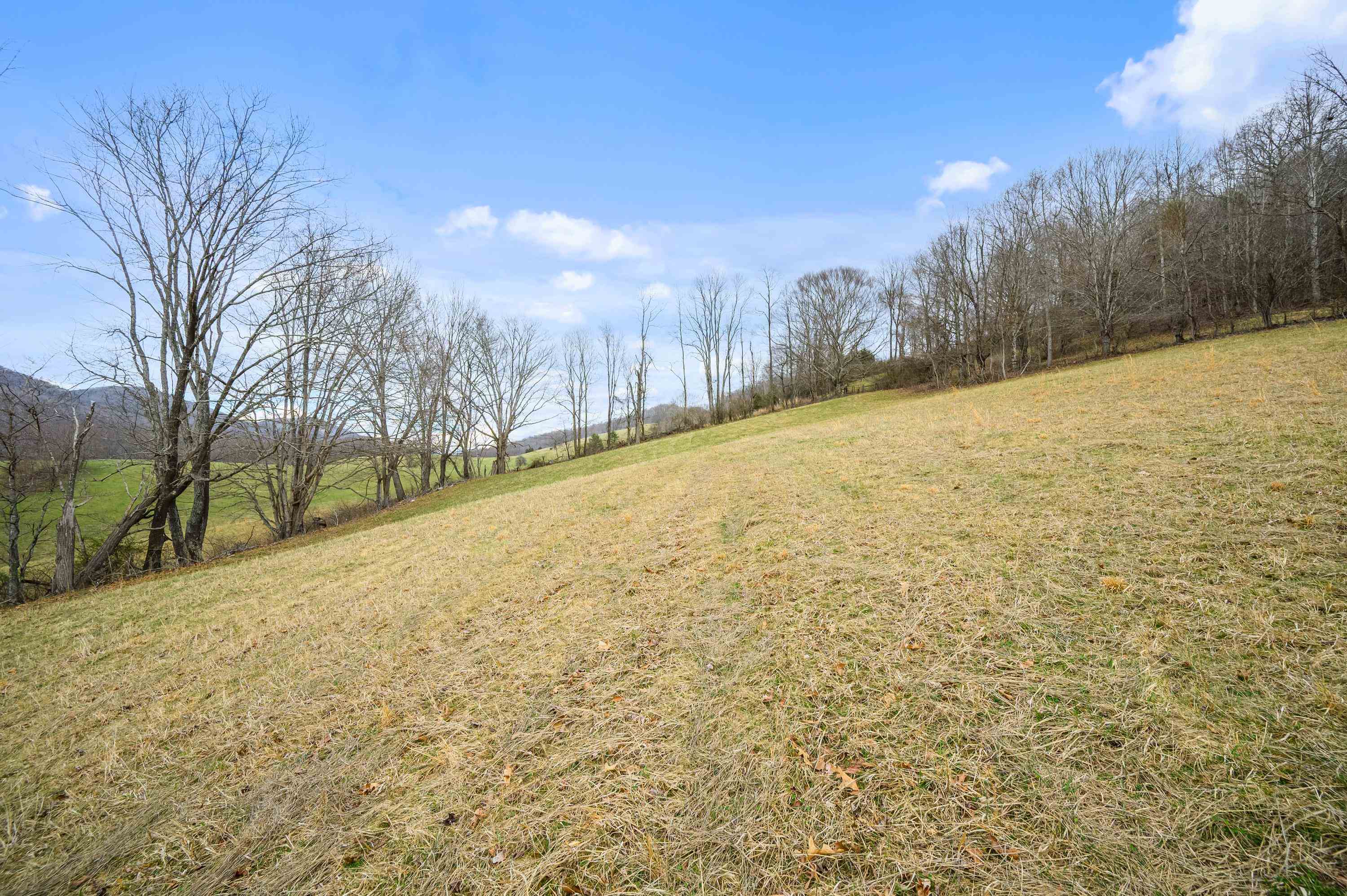 568 Round Bottom Drive Narrows VA 24124