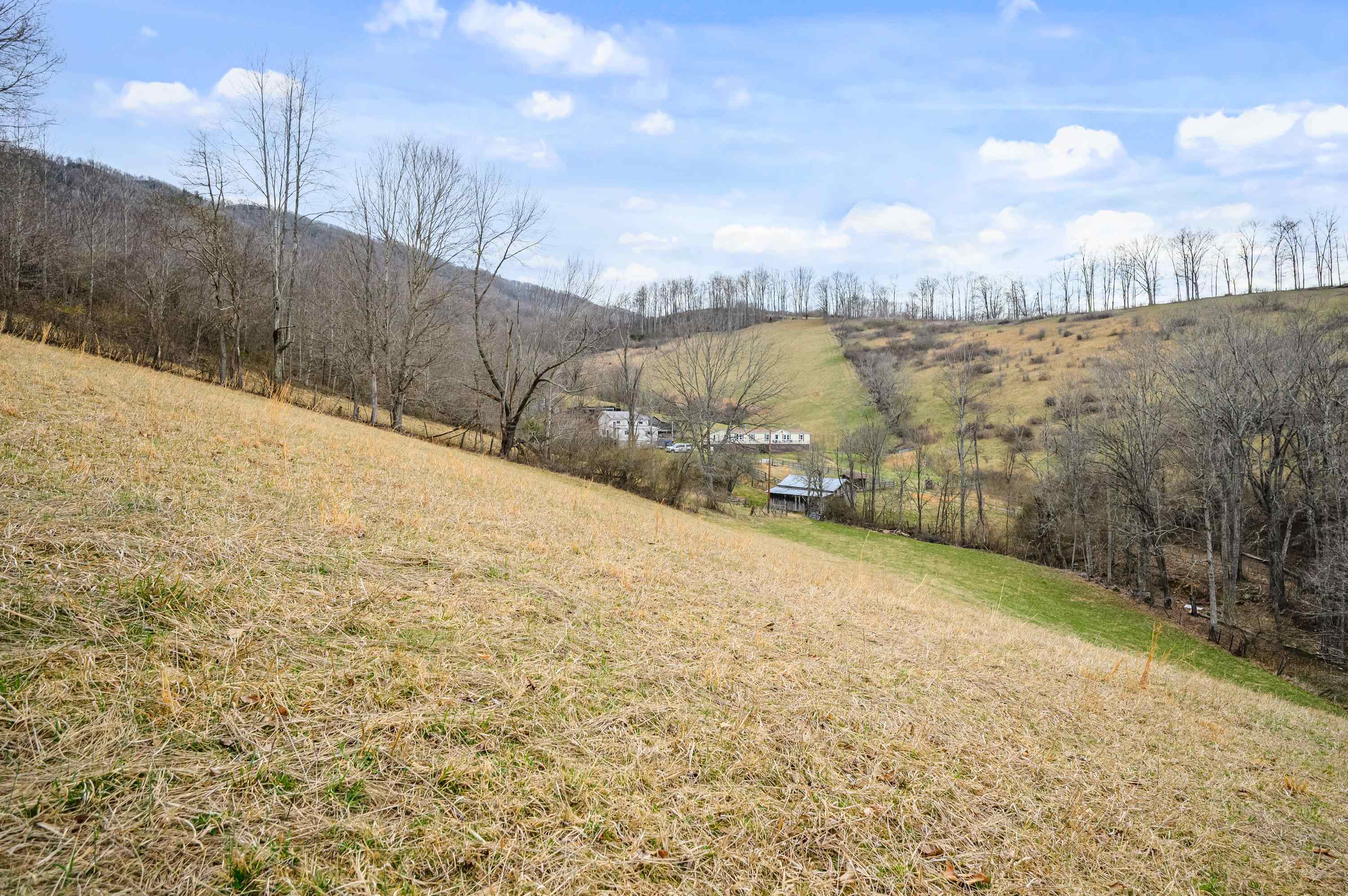 568 Round Bottom Drive Narrows VA 24124