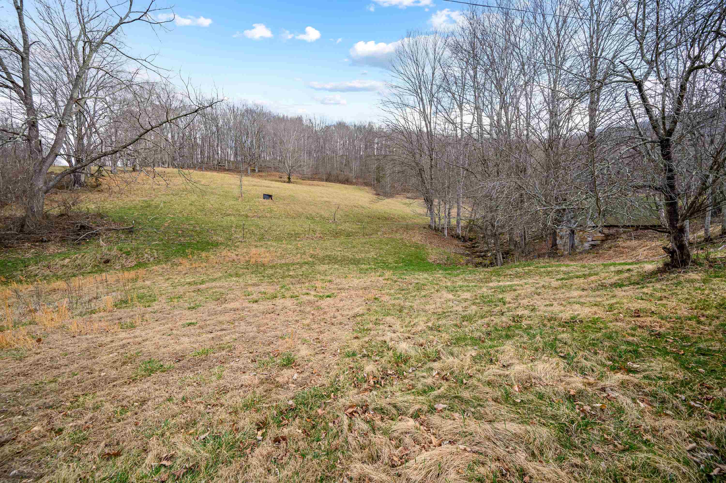 568 Round Bottom Drive Narrows VA 24124