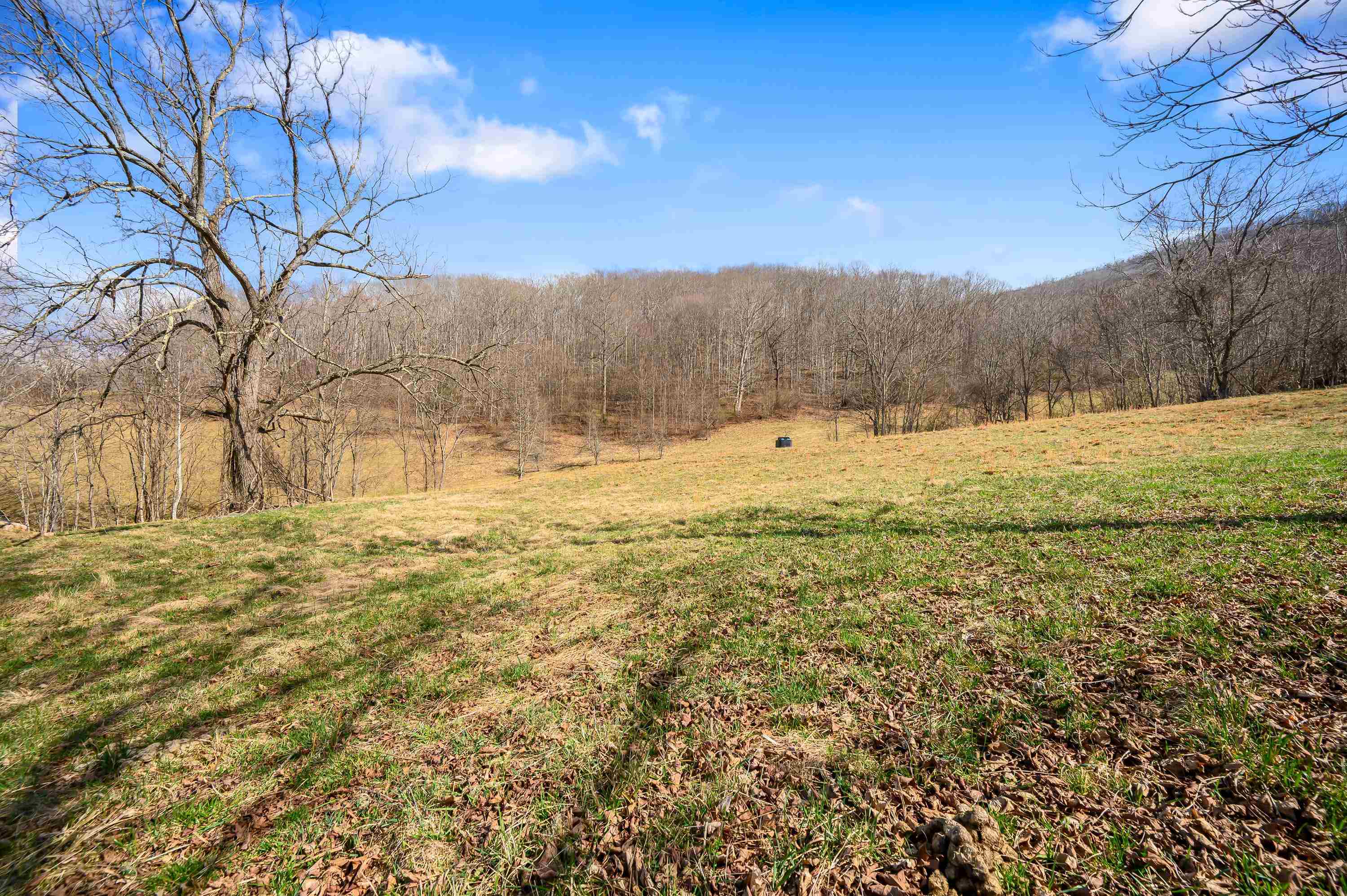 568 Round Bottom Drive Narrows VA 24124