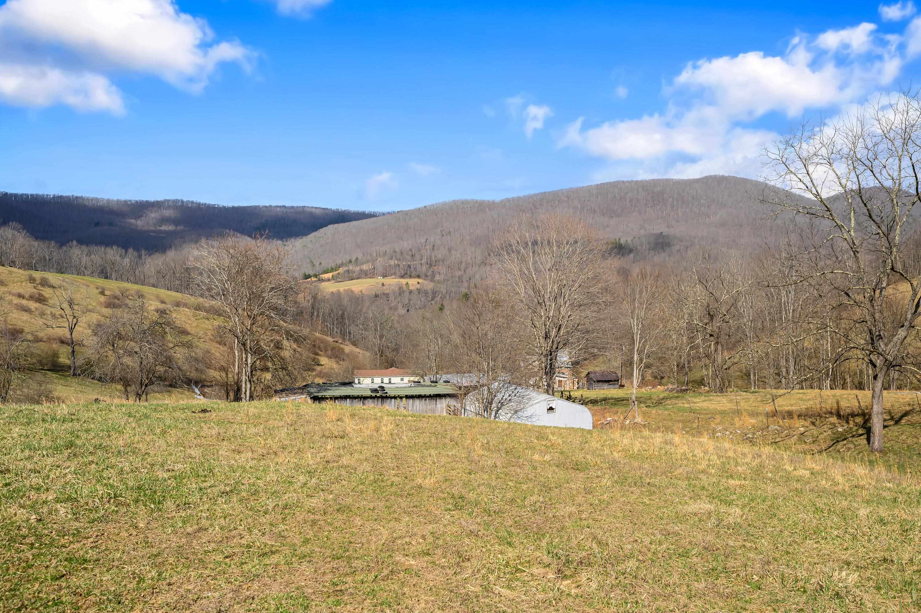 568 Round Bottom Drive Narrows VA 24124