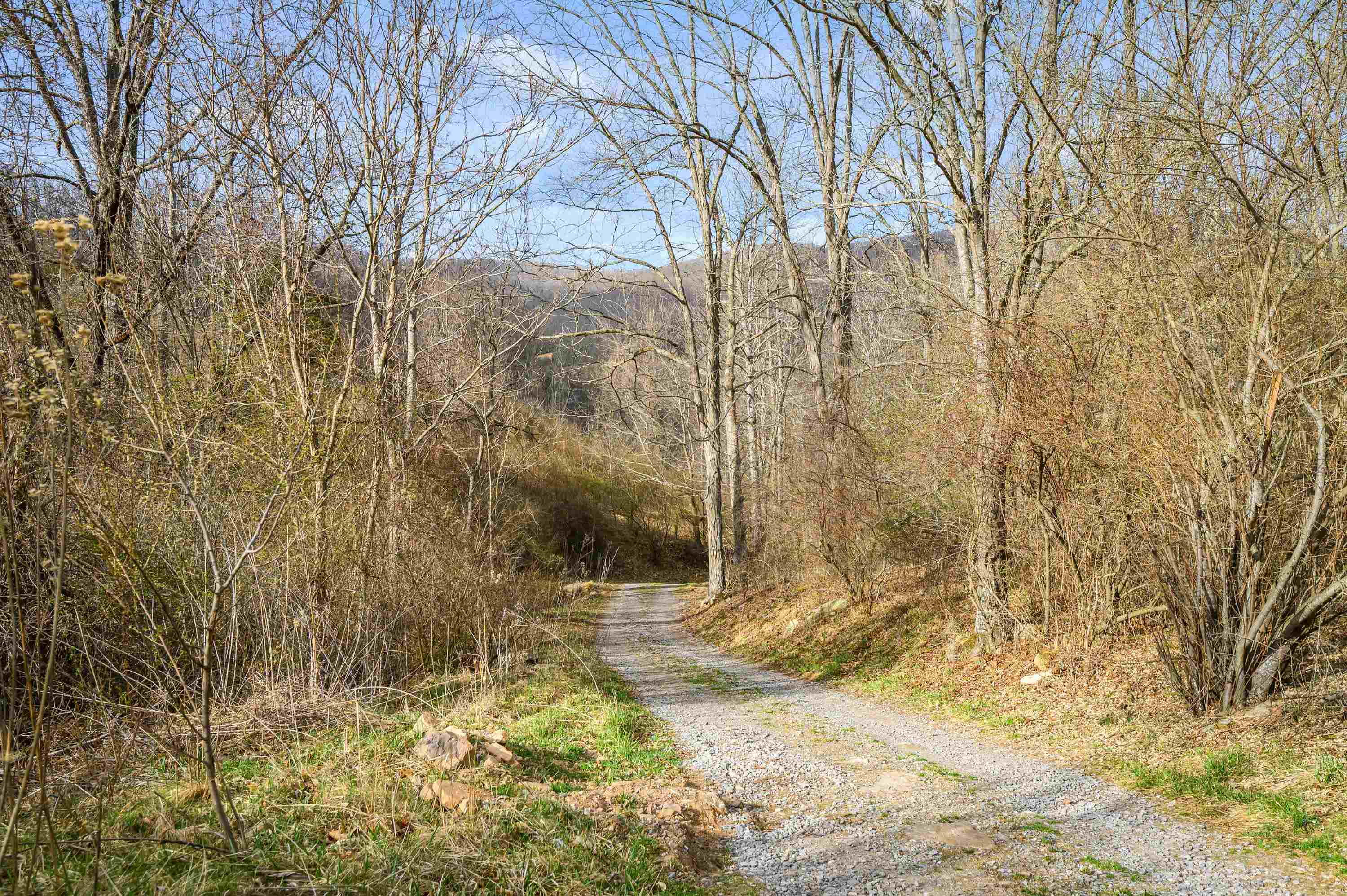 568 Round Bottom Drive Narrows VA 24124
