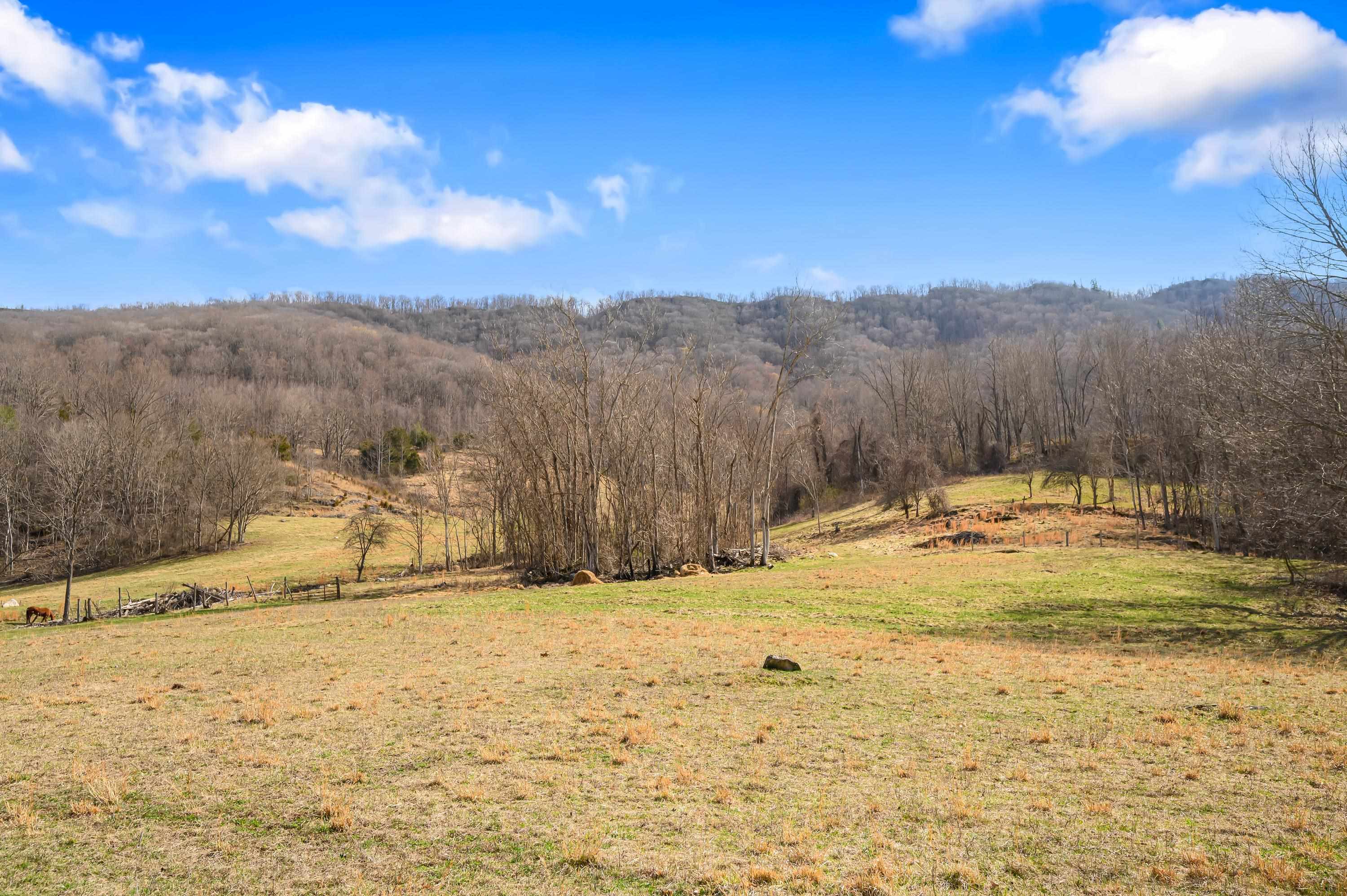 568 Round Bottom Drive Narrows VA 24124