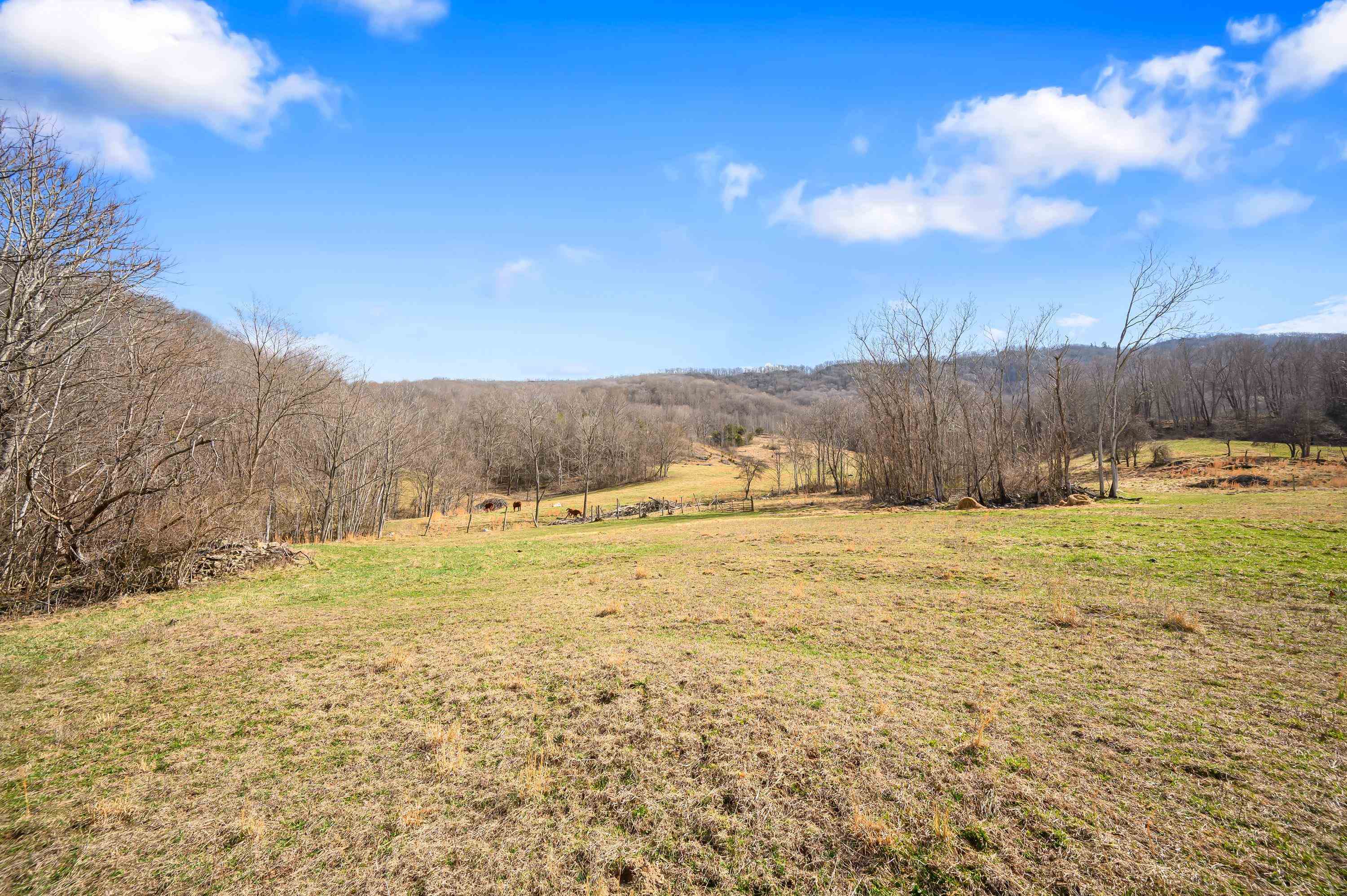 568 Round Bottom Drive Narrows VA 24124