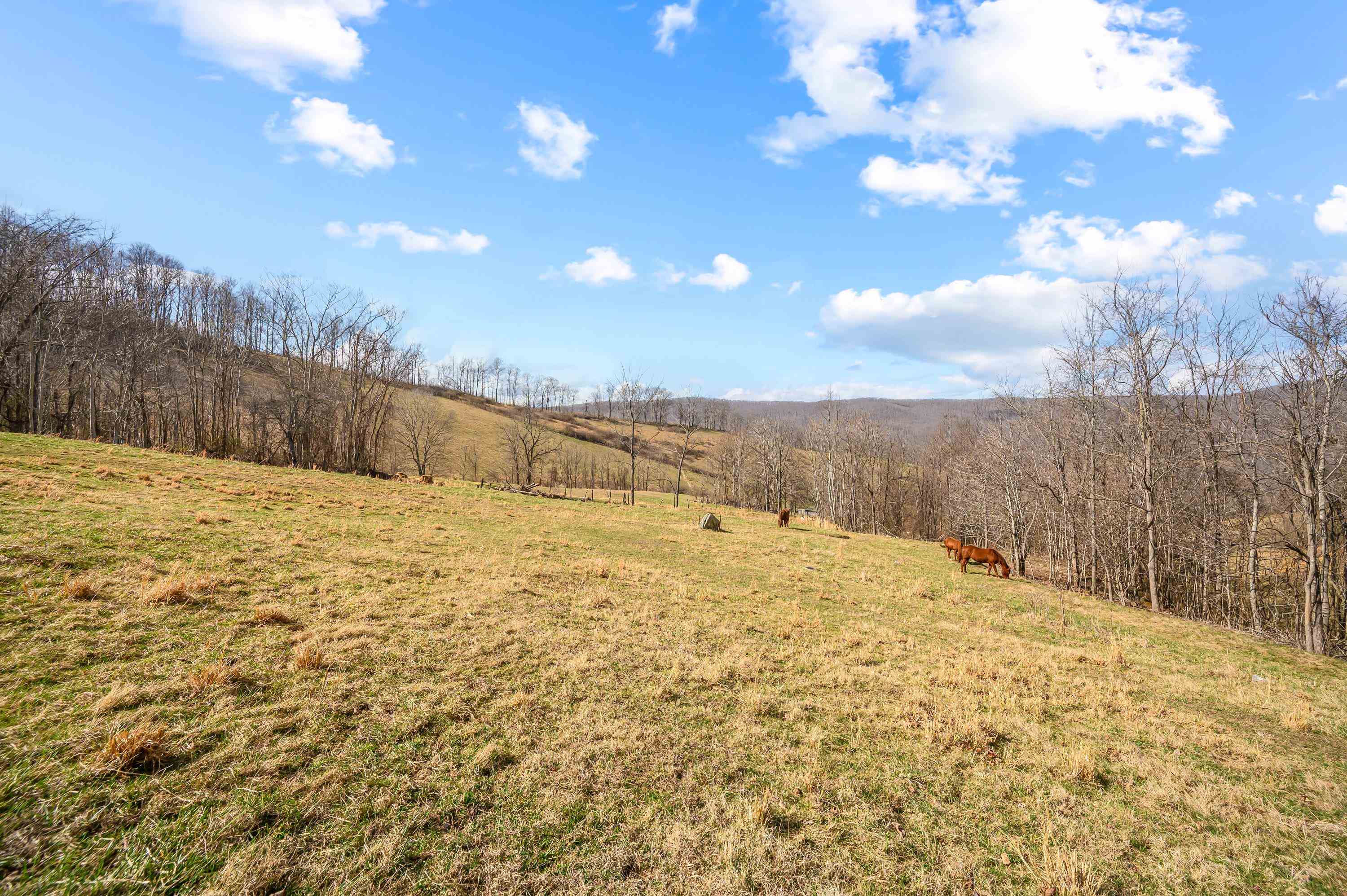 568 Round Bottom Drive Narrows VA 24124