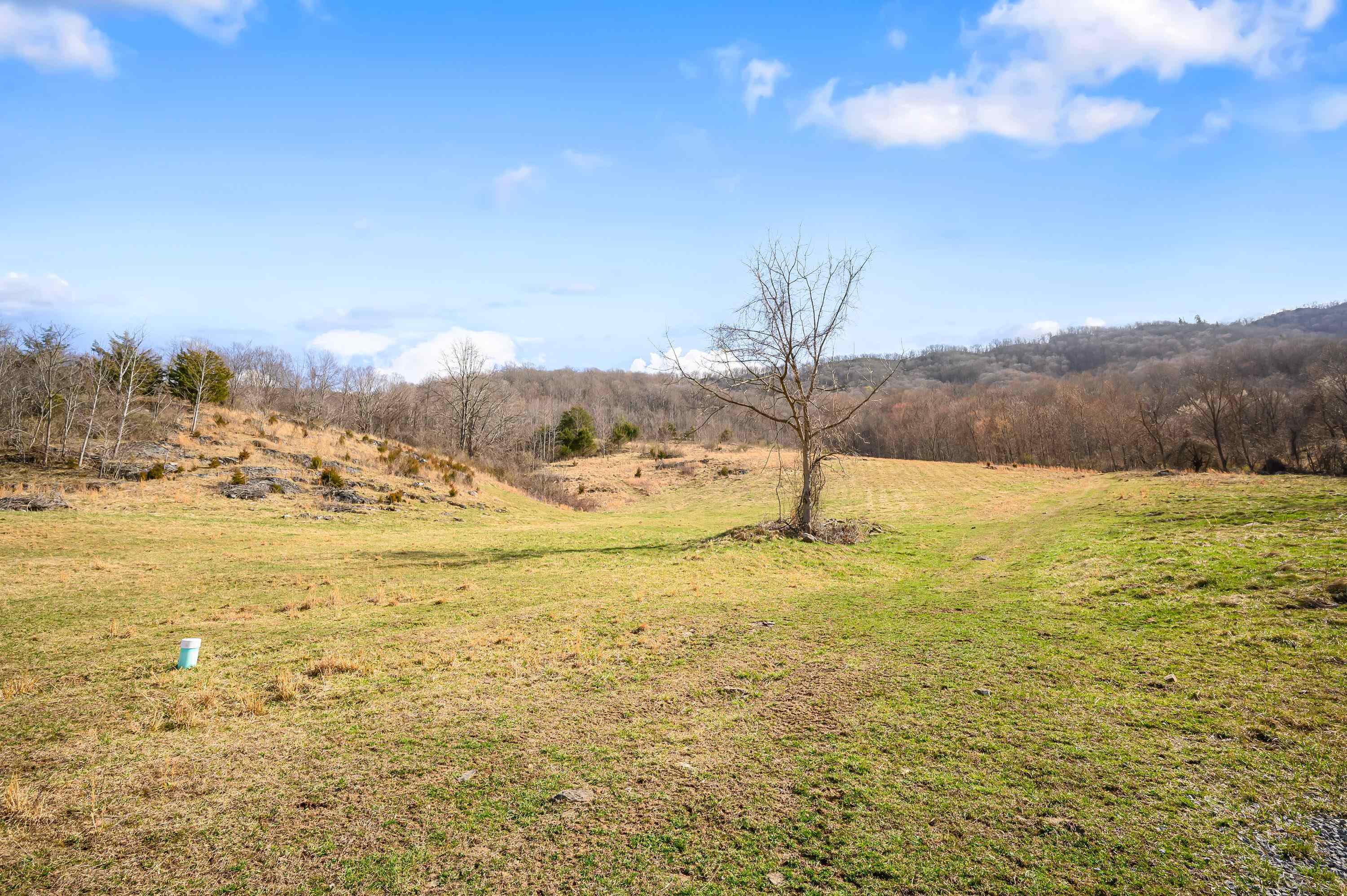 568 Round Bottom Drive Narrows VA 24124