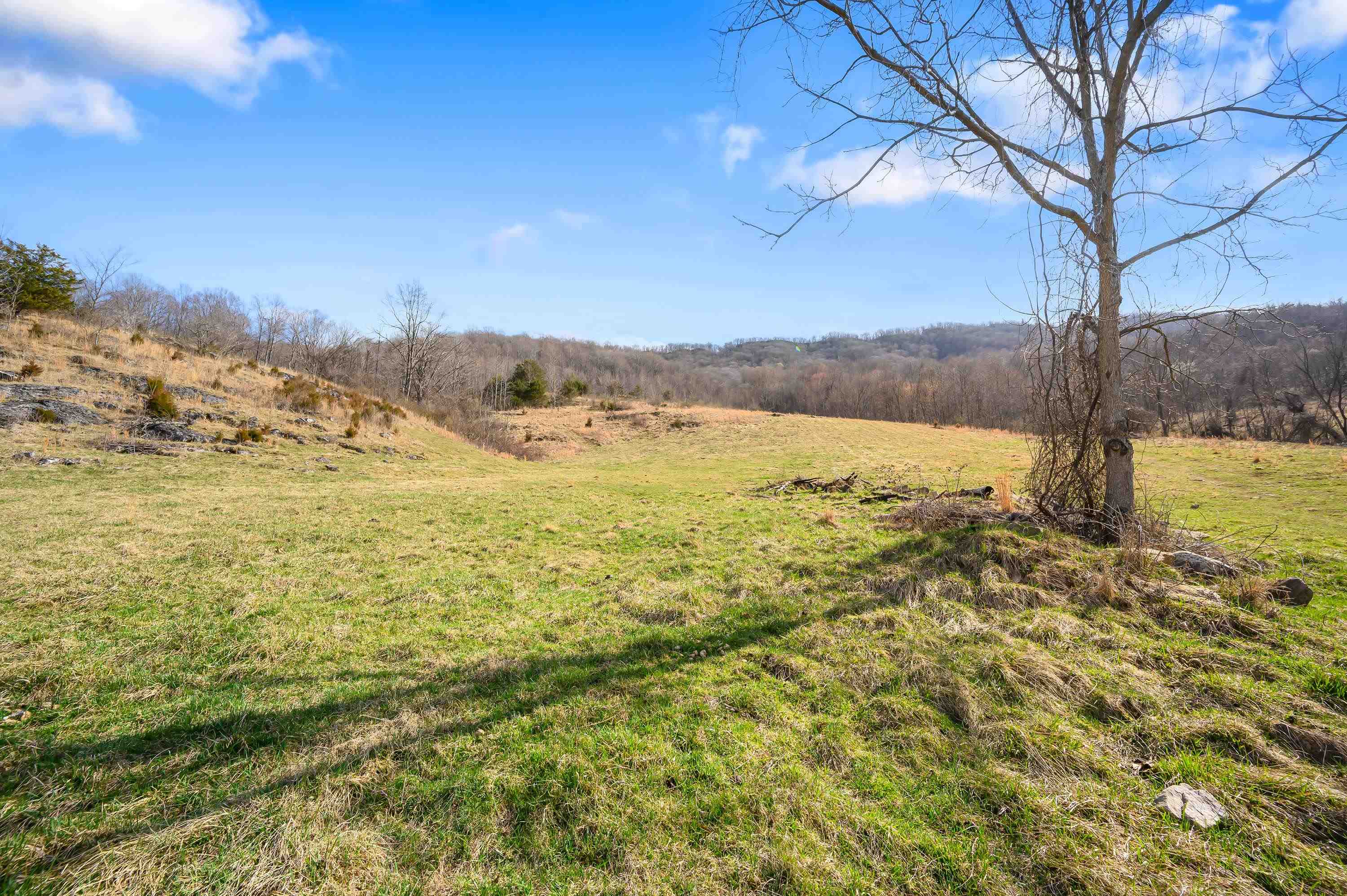 568 Round Bottom Drive Narrows VA 24124