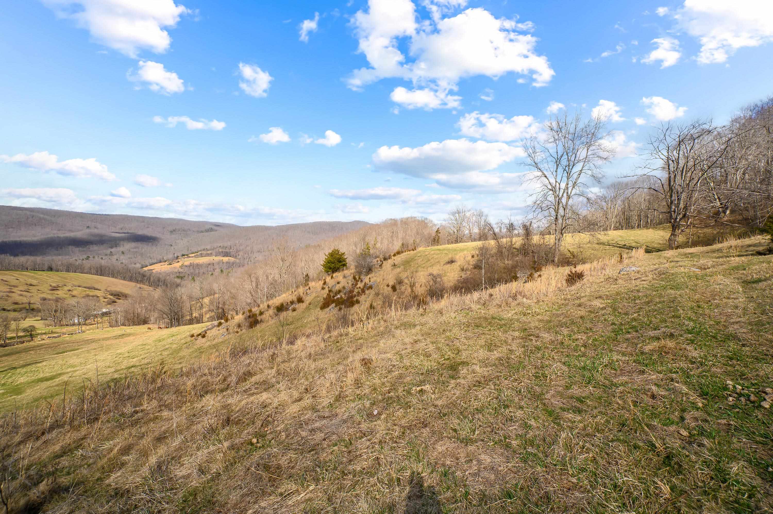 568 Round Bottom Drive Narrows VA 24124