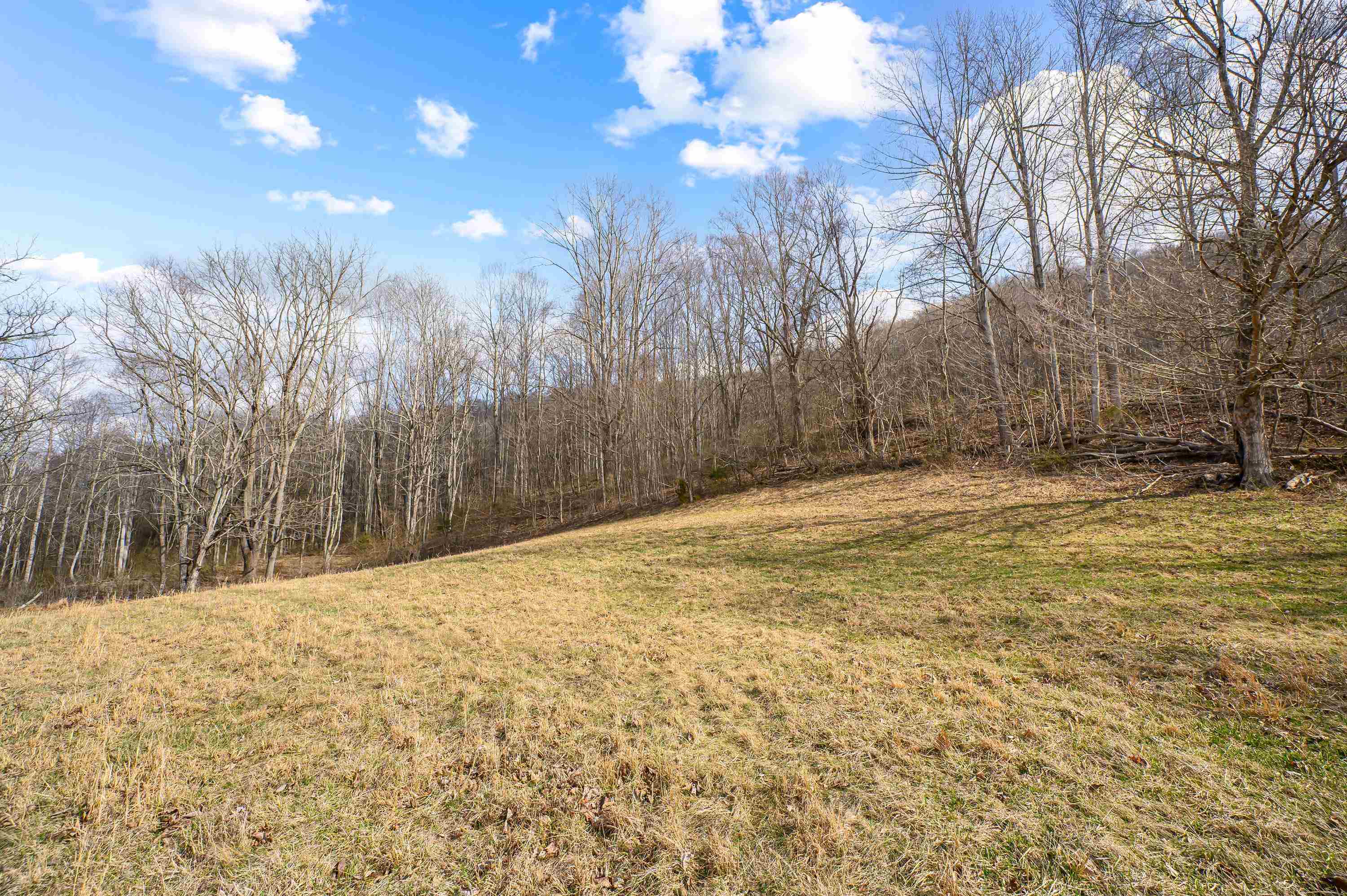 568 Round Bottom Drive Narrows VA 24124