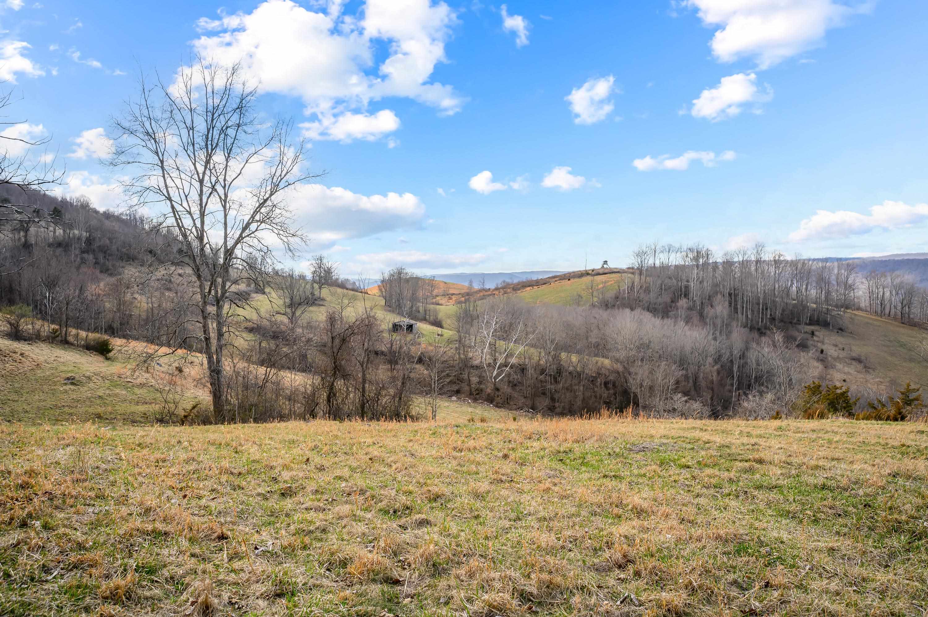 568 Round Bottom Drive Narrows VA 24124