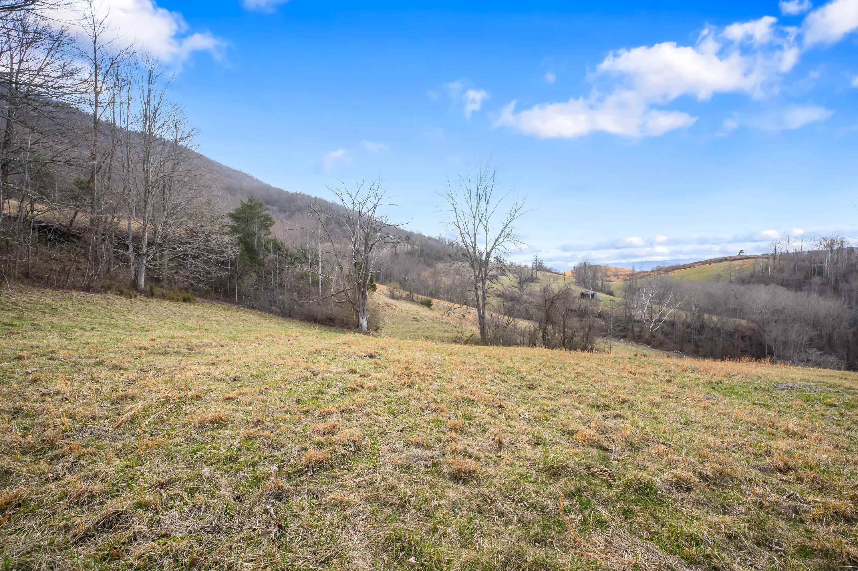 568 Round Bottom Drive Narrows VA 24124