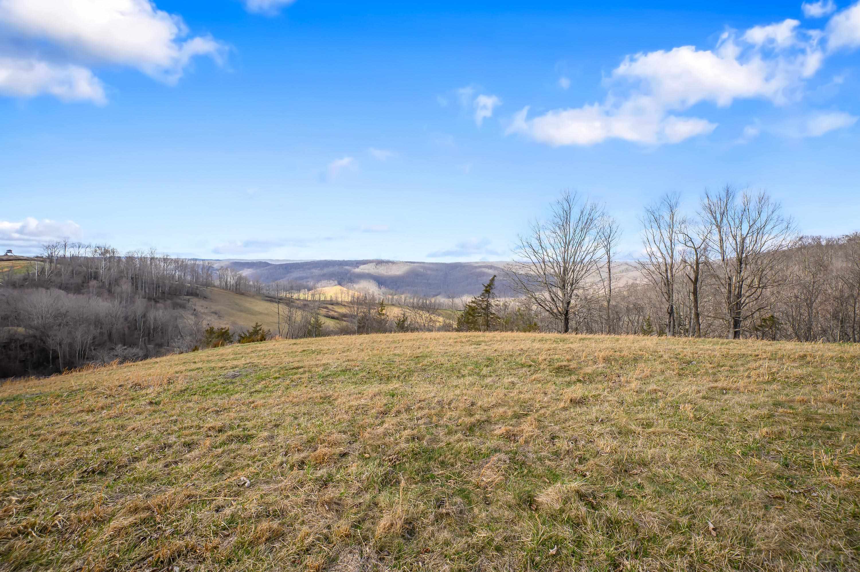 568 Round Bottom Drive Narrows VA 24124
