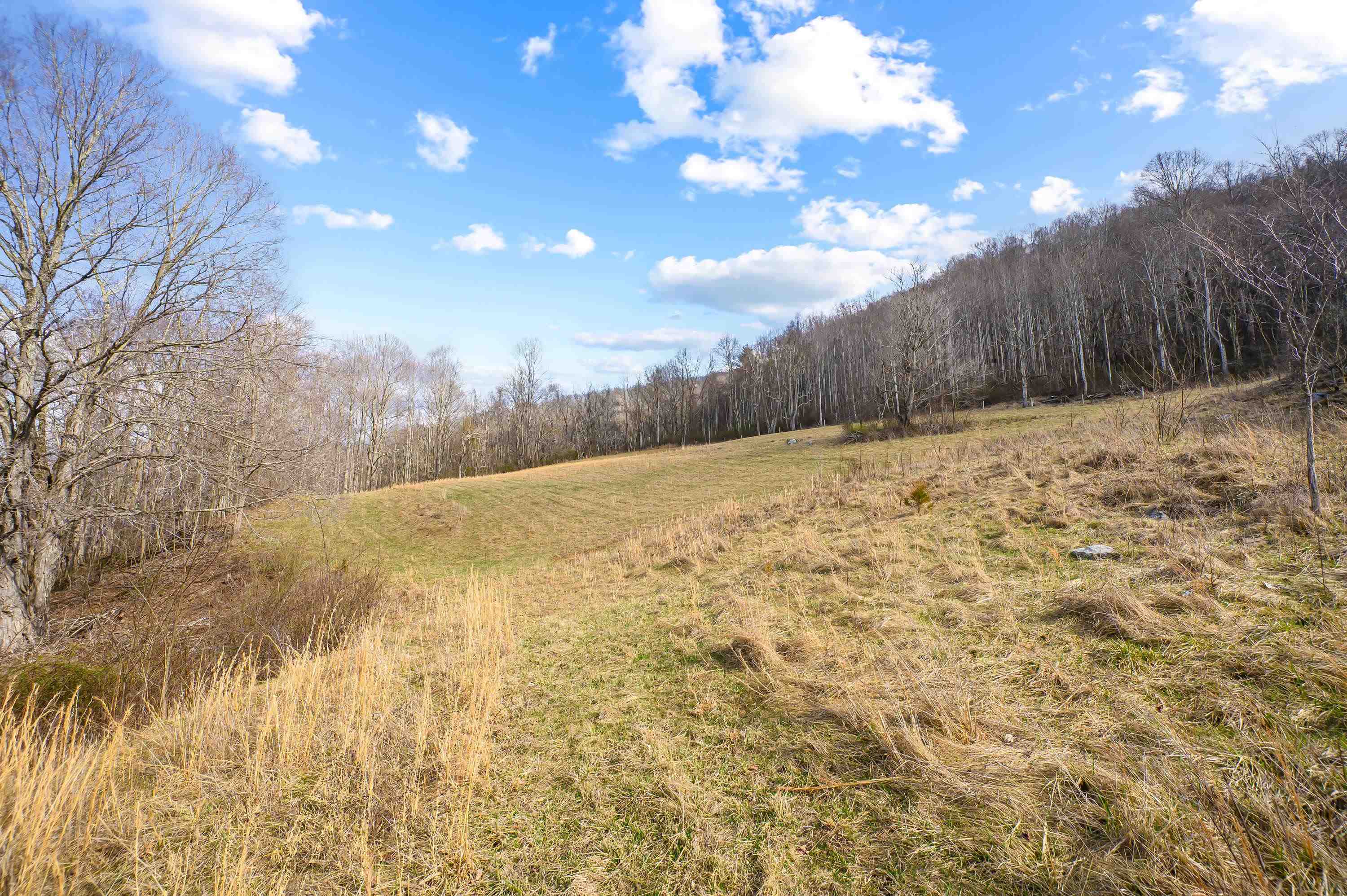568 Round Bottom Drive Narrows VA 24124