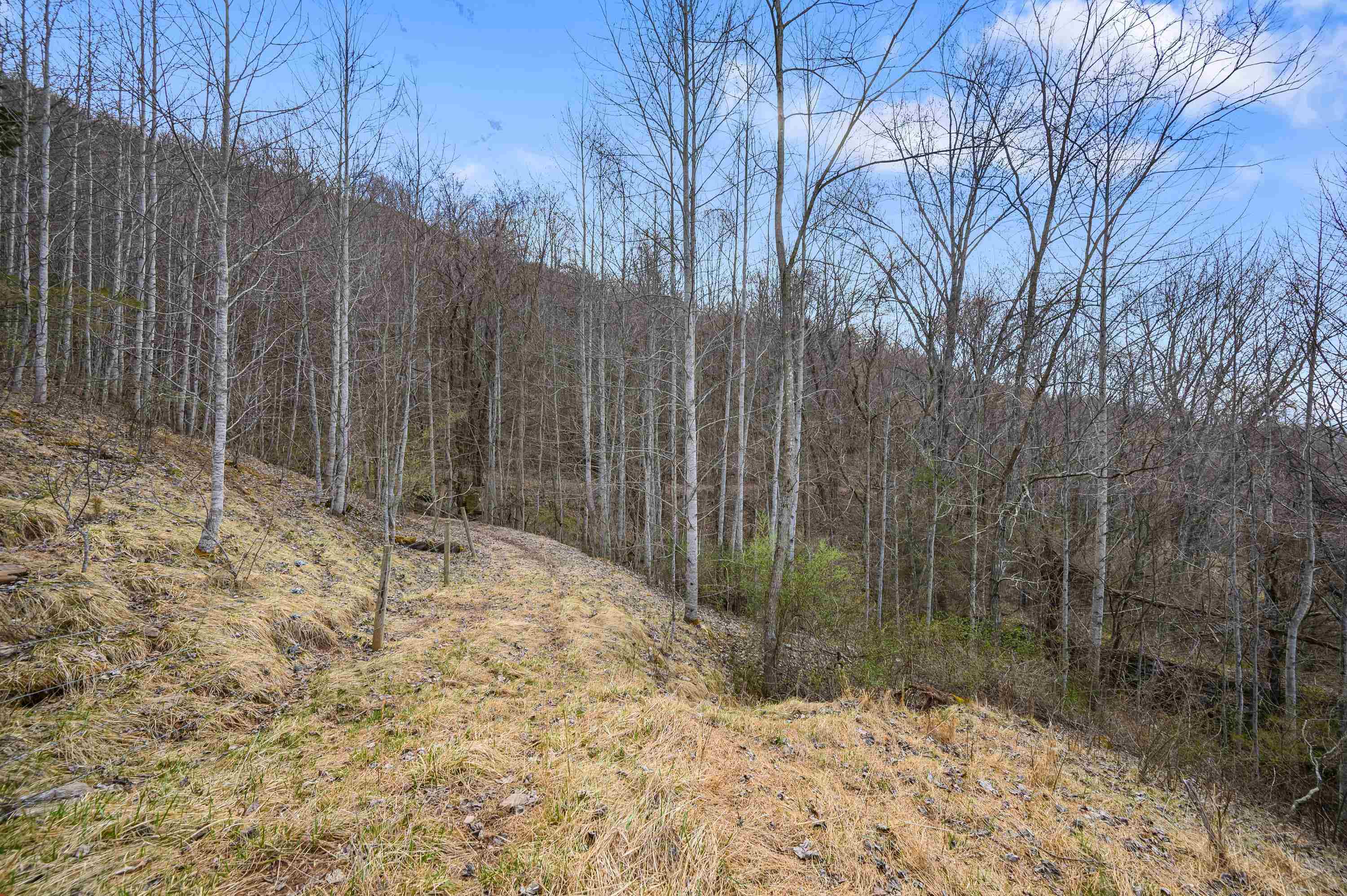 568 Round Bottom Drive Narrows VA 24124