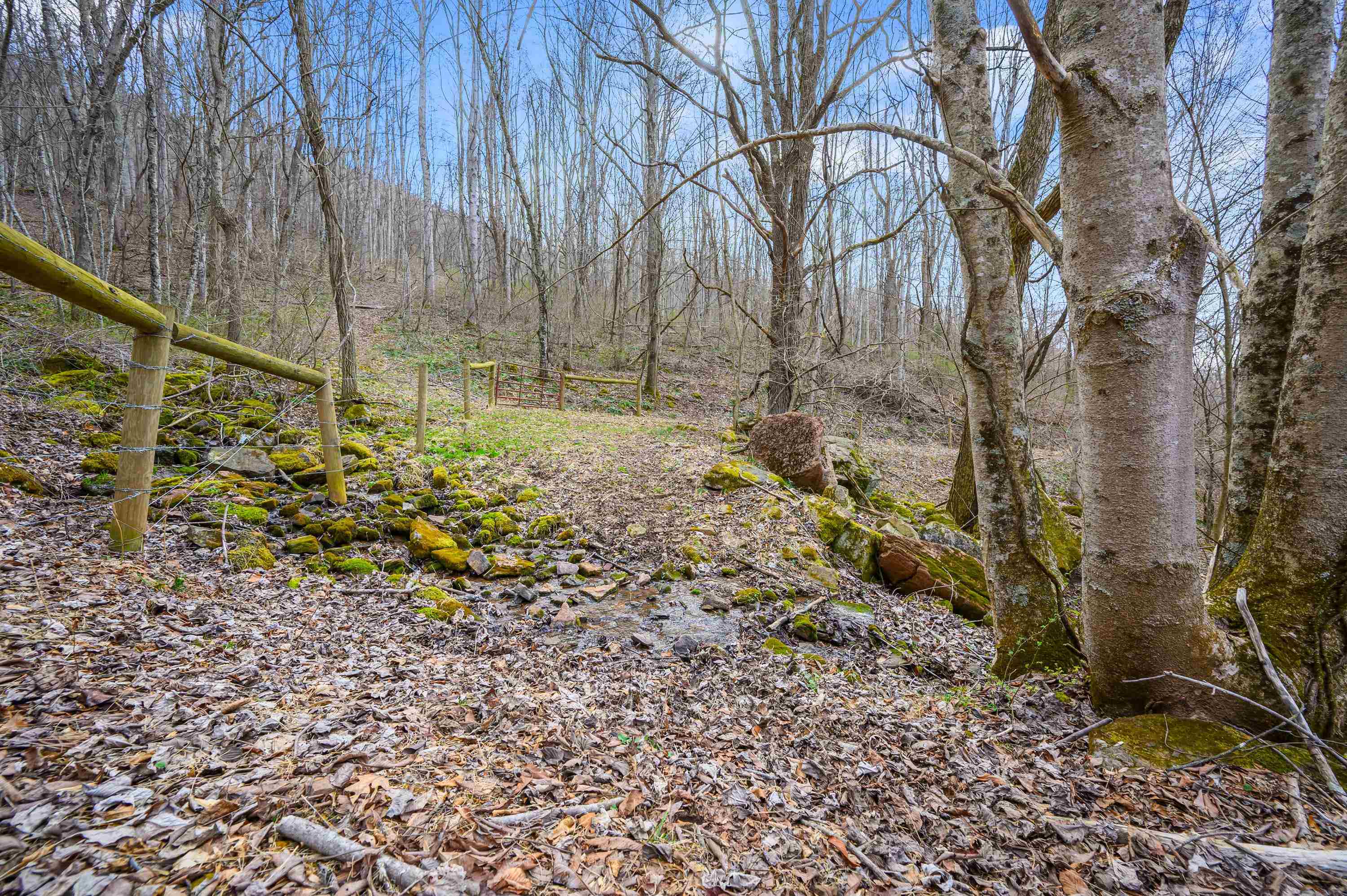568 Round Bottom Drive Narrows VA 24124