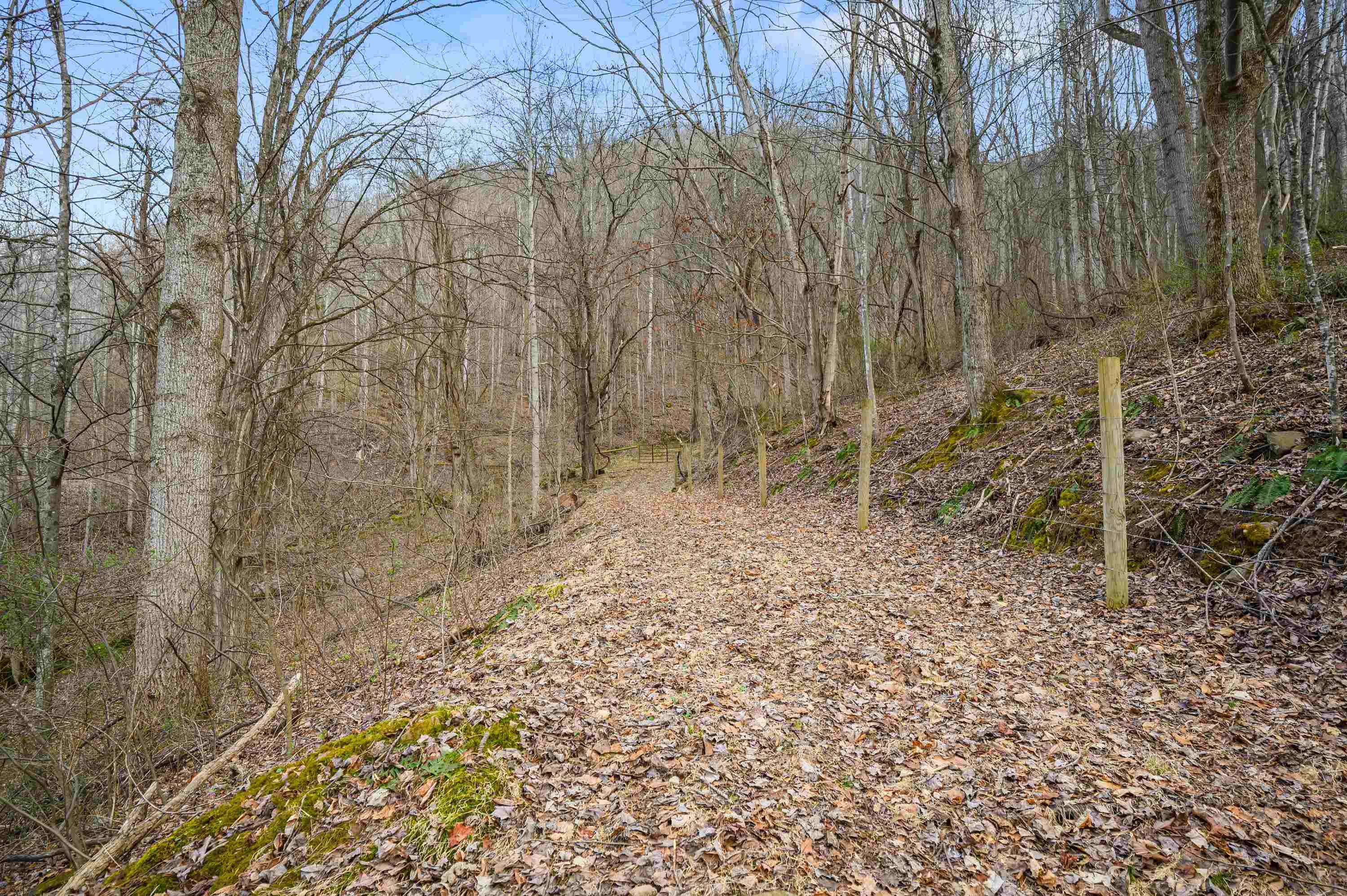 568 Round Bottom Drive Narrows VA 24124