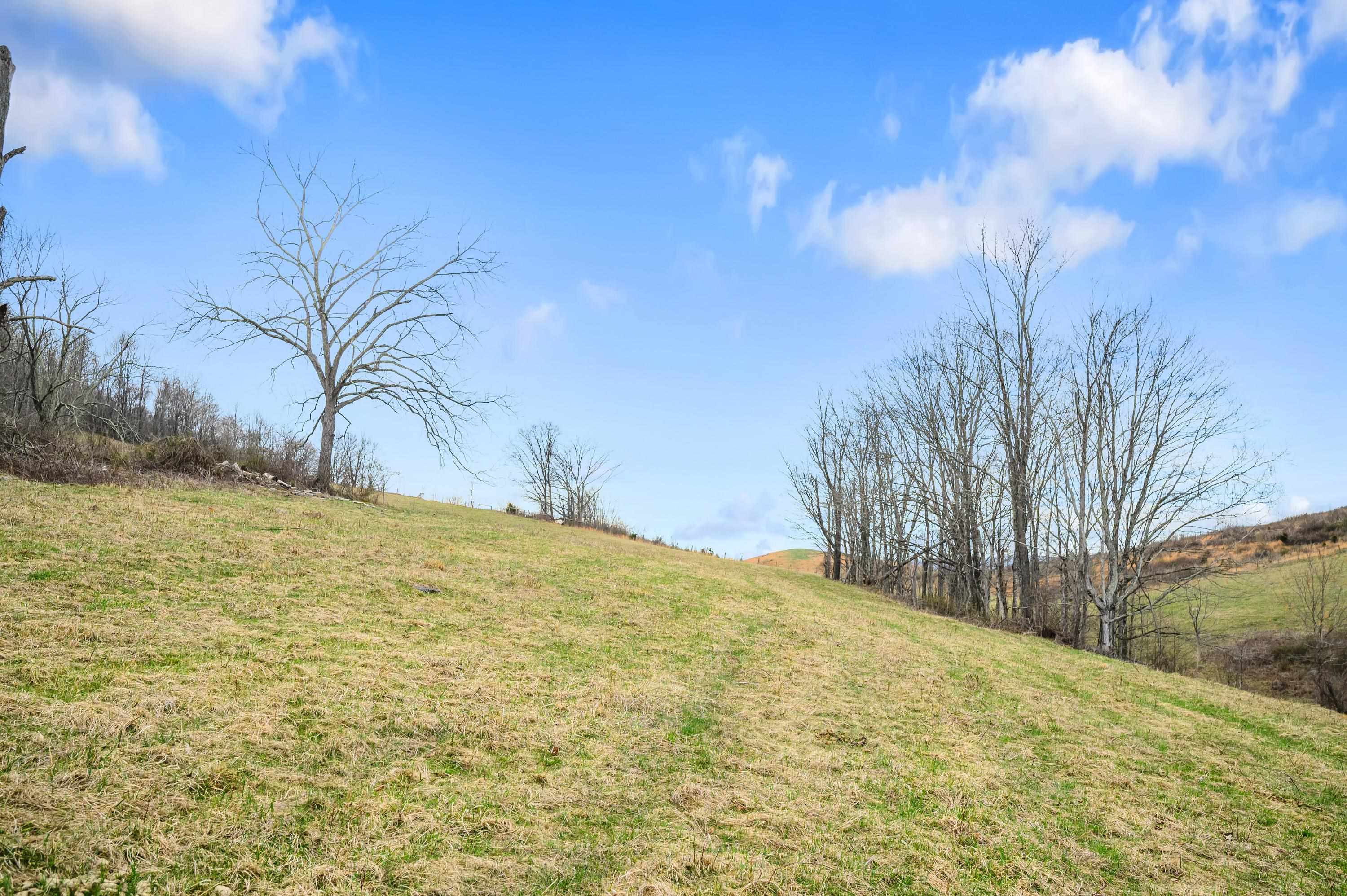 568 Round Bottom Drive Narrows VA 24124