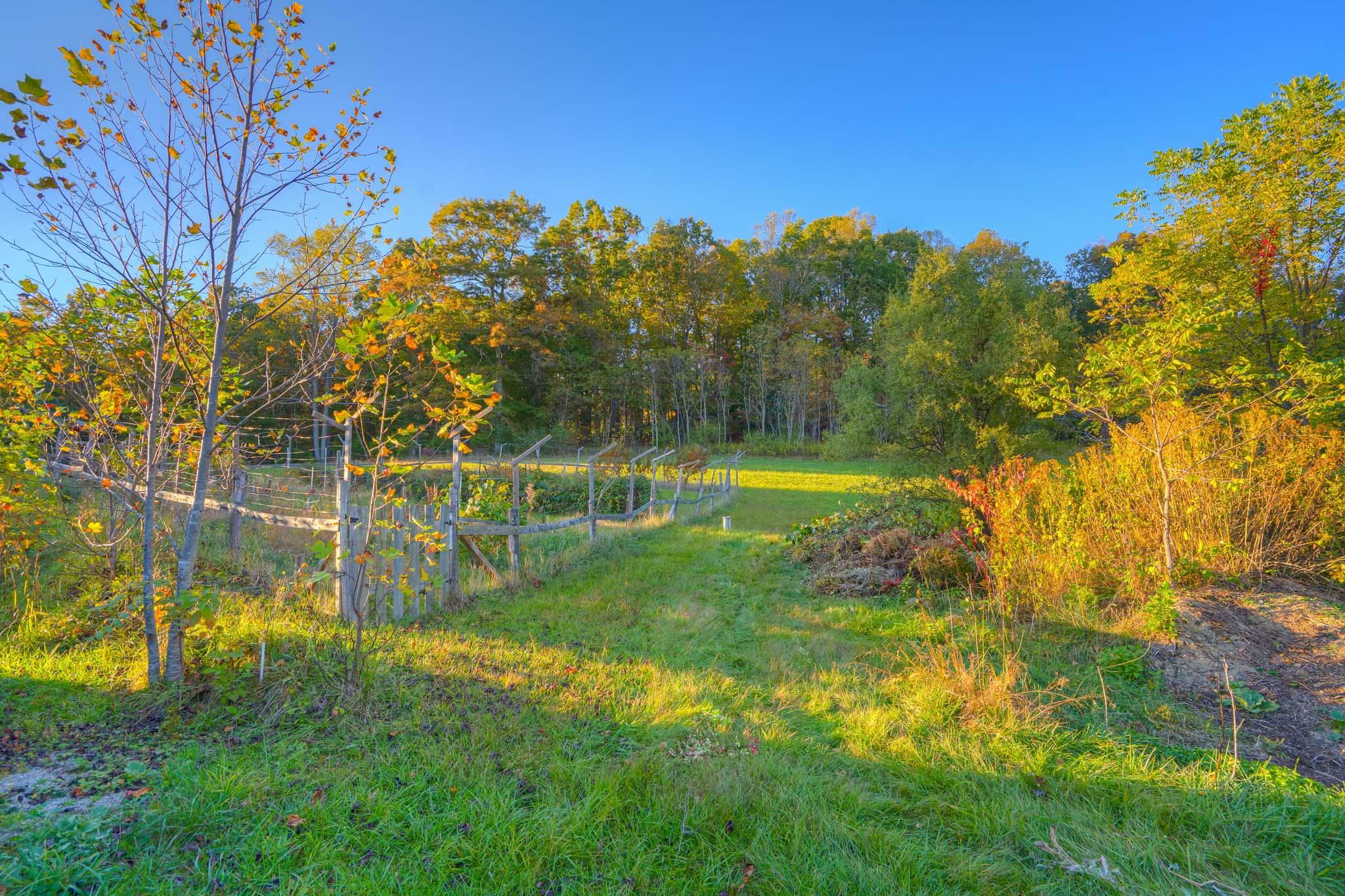 4928 Mount Tabor Road Blacksburg VA 24060