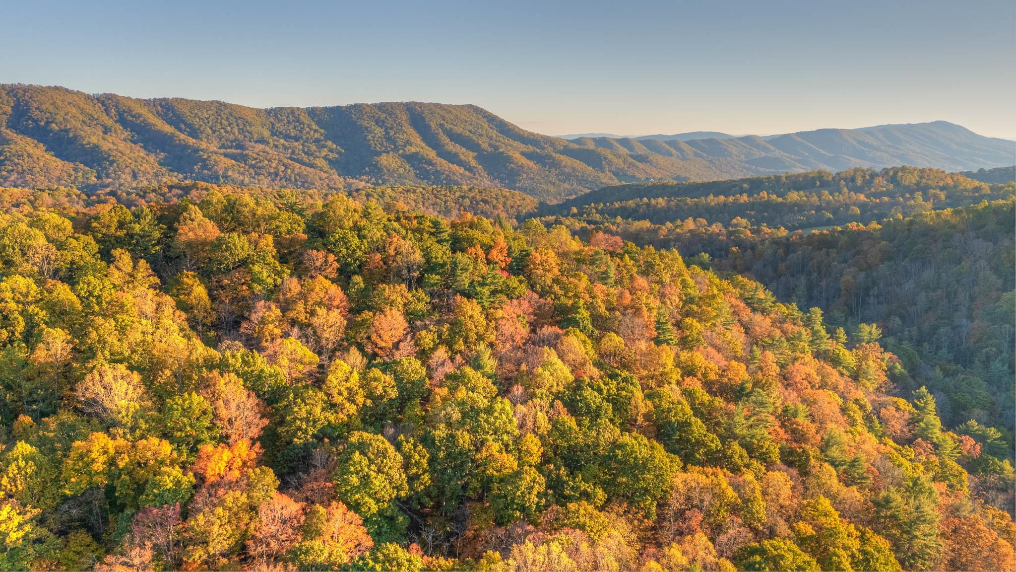 4928 Mount Tabor Road Blacksburg VA 24060