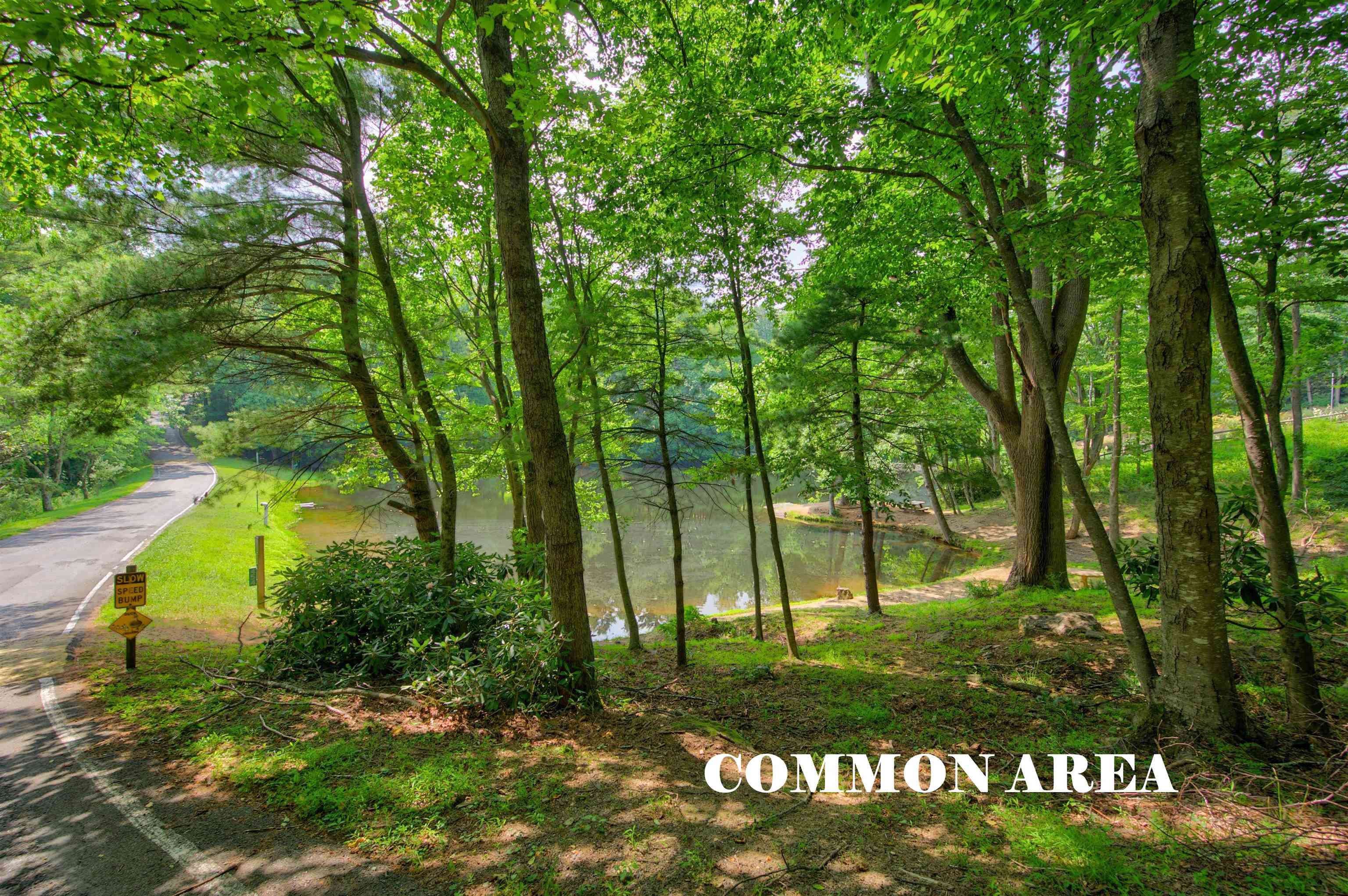 293 Scenic Way Fancy Gap VA 24328