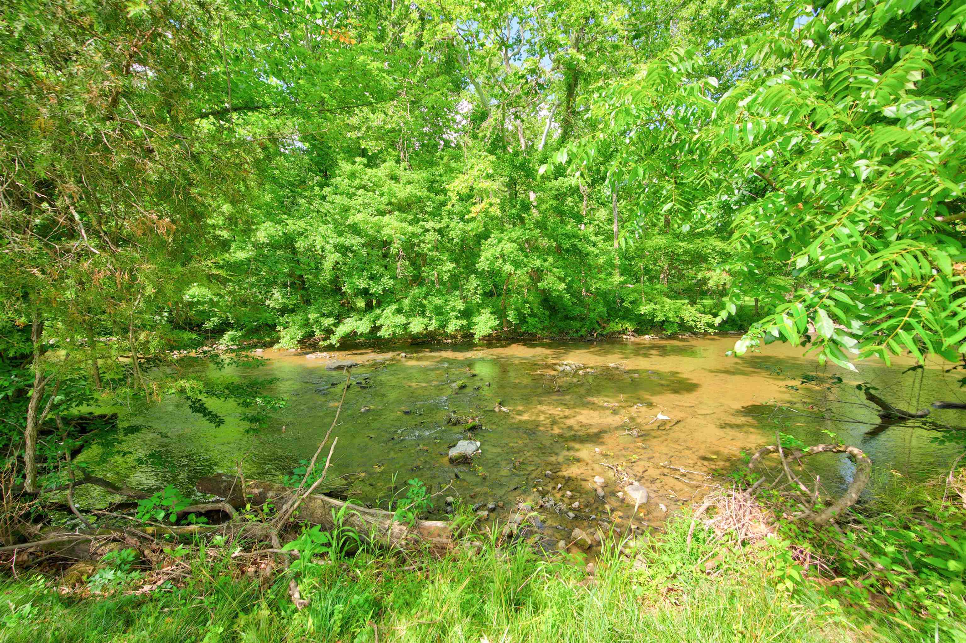 136 Clemons Lane Pearisburg VA 24134
