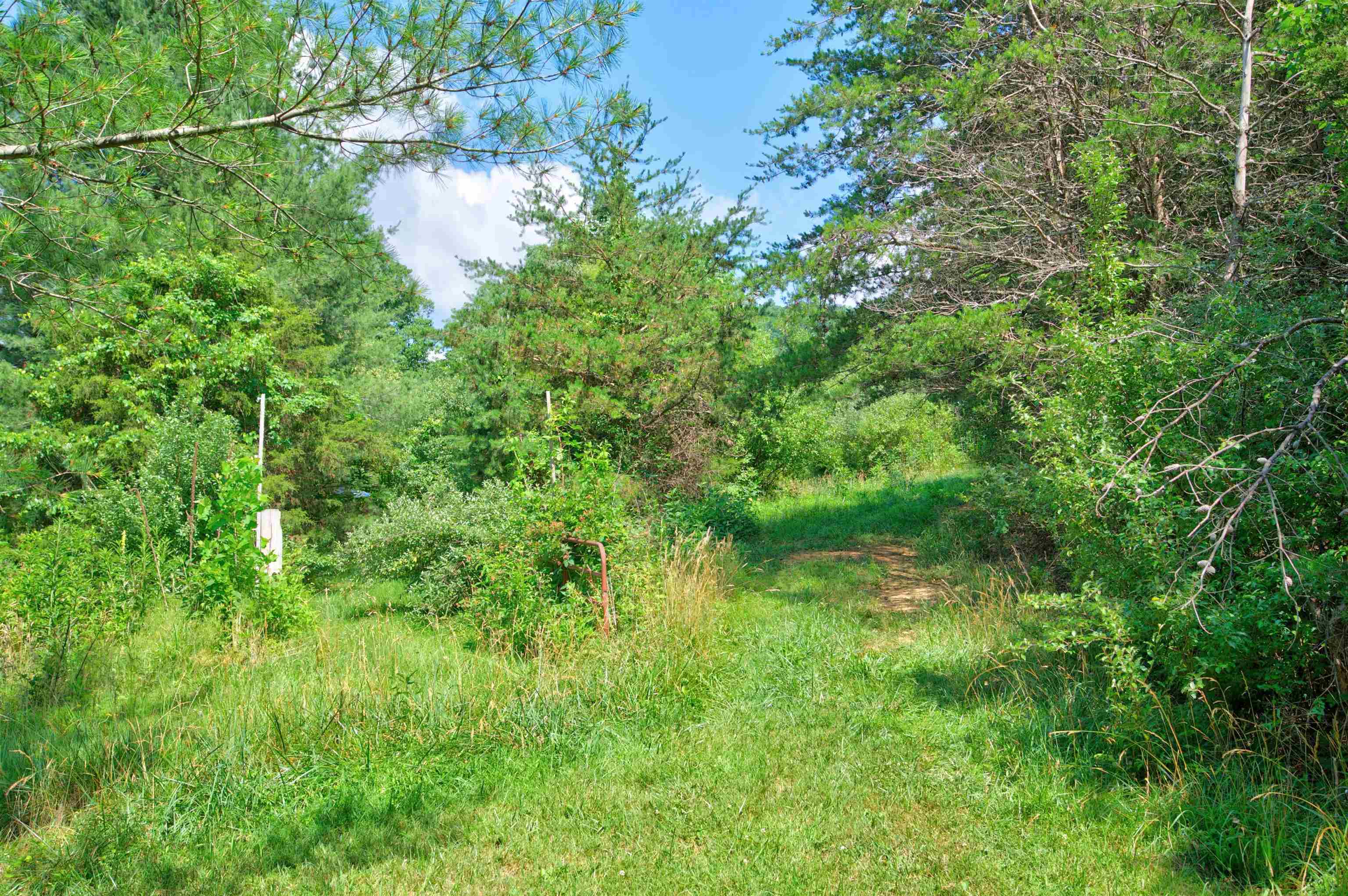 136 Clemons Lane Pearisburg VA 24134