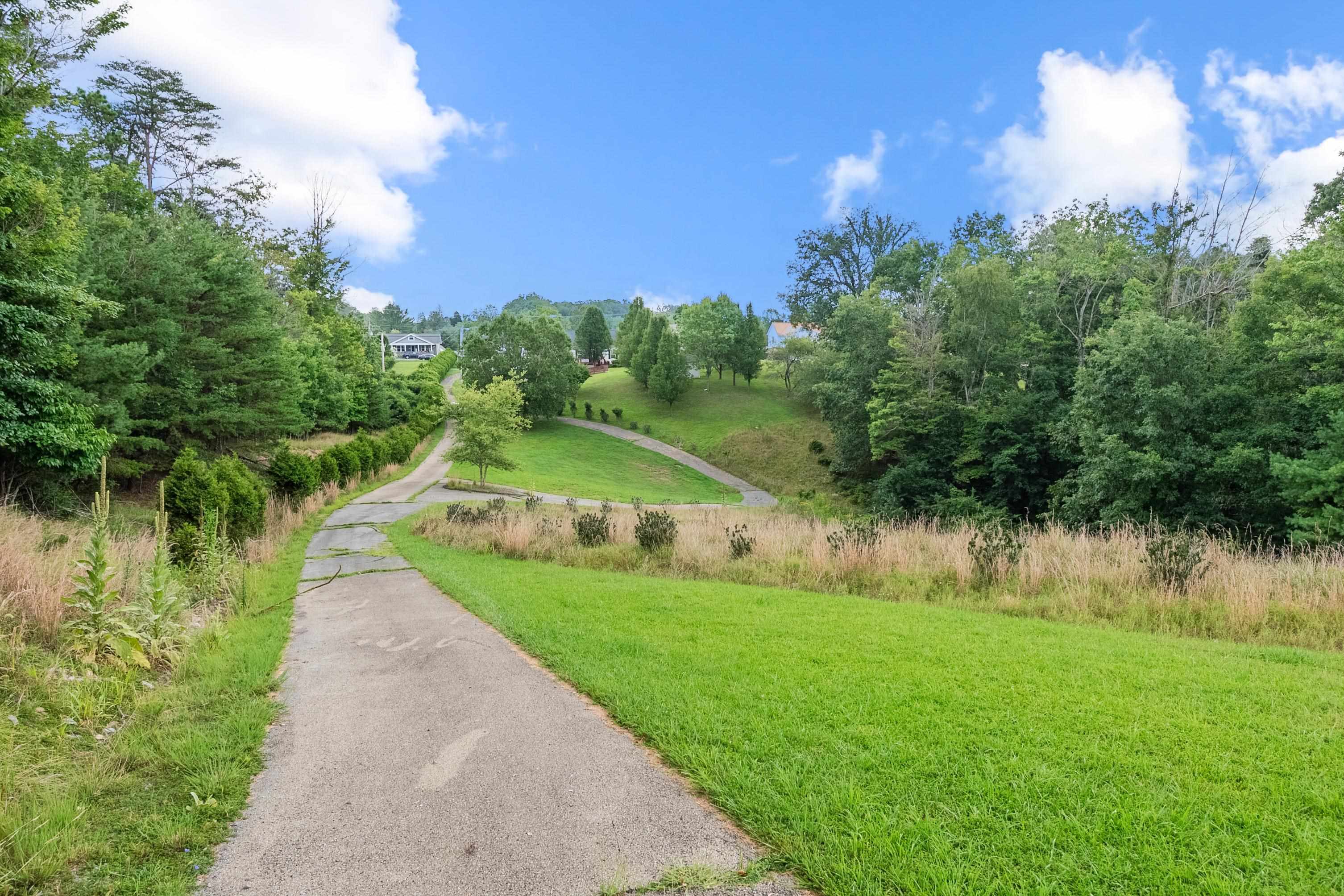 1407 Randolph Avenue Pulaski VA 24301