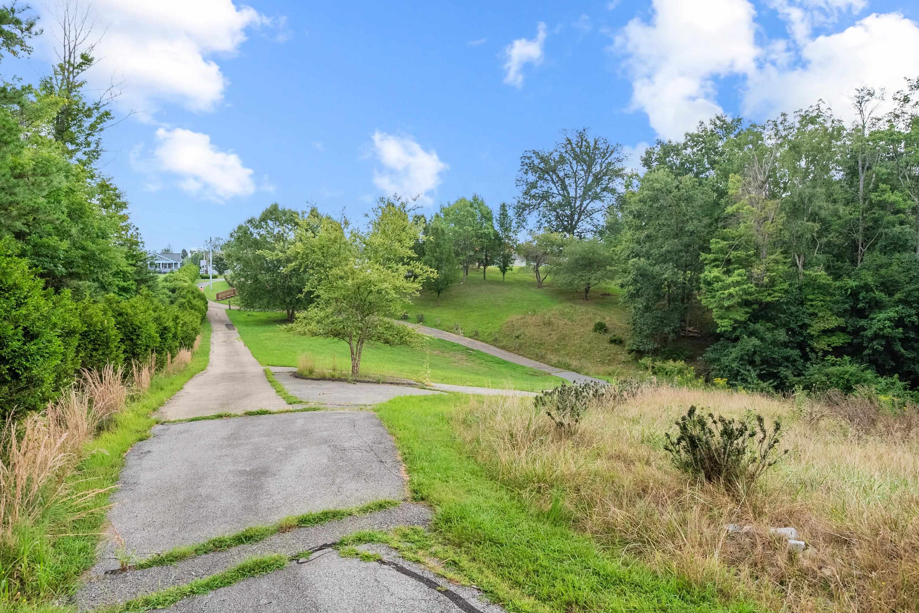 1407 Randolph Avenue Pulaski VA 24301