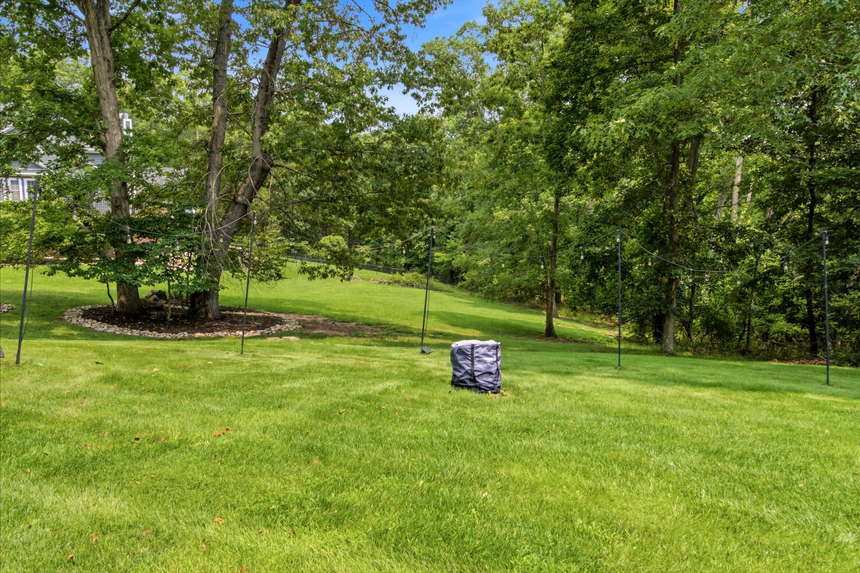 1051 Nik Ryan Drive Blacksburg VA 24060