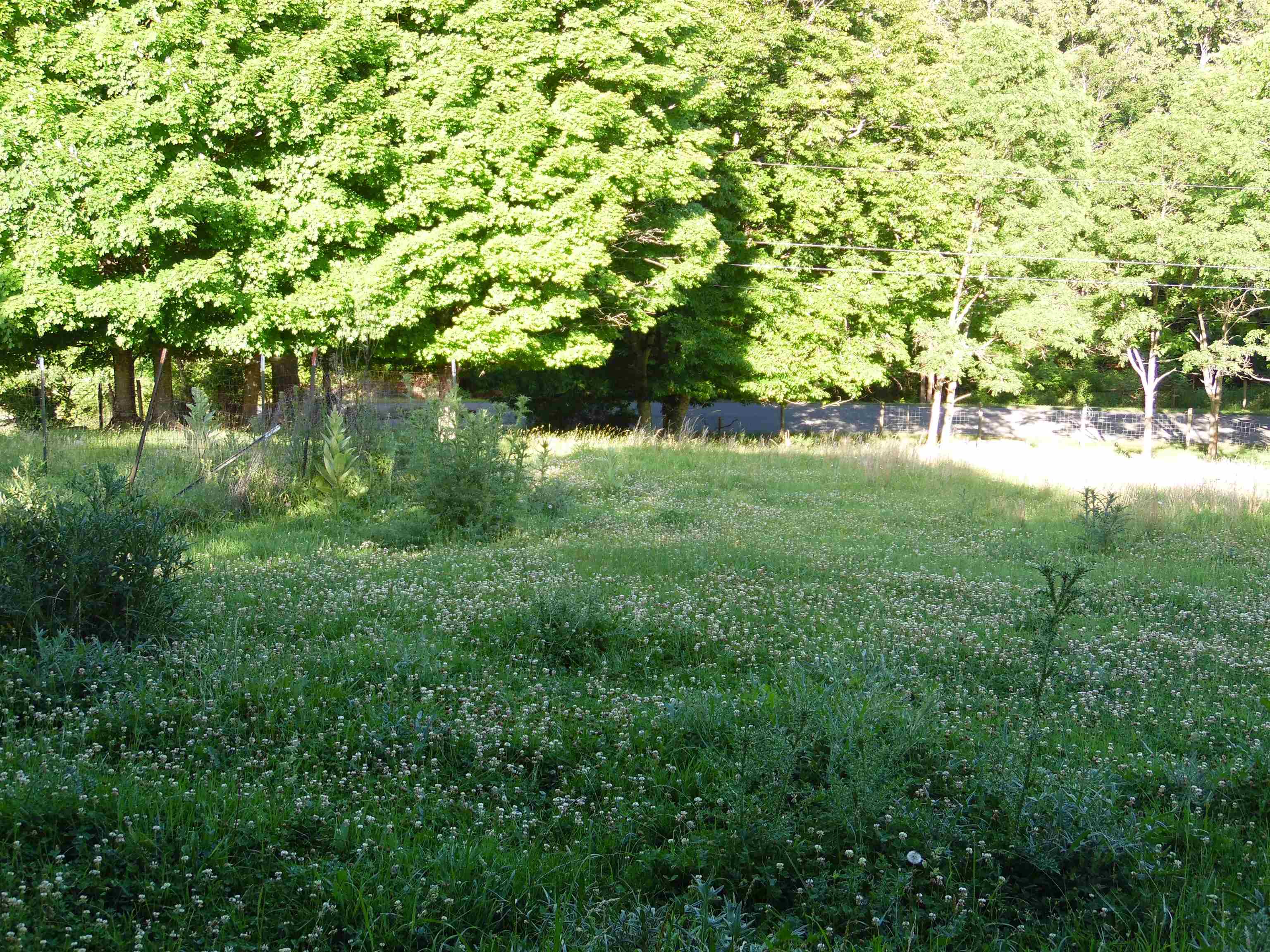 1374 Saint Lukes Road Wytheville VA 24382