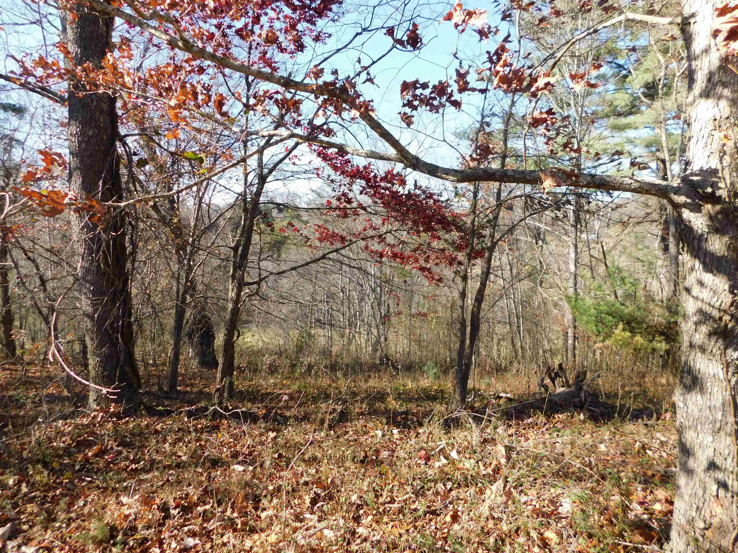 3525 Big Branch Road Riner VA 24149