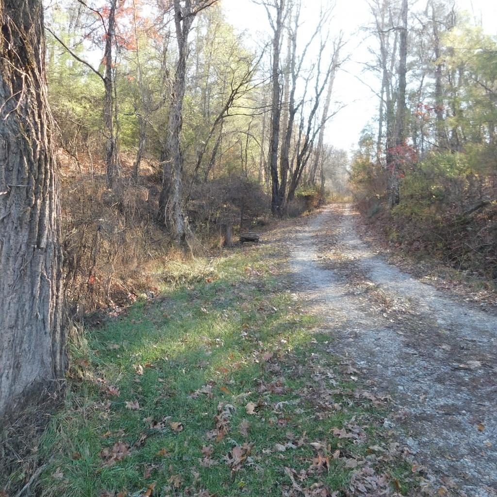 3525 Big Branch Road Riner VA 24149