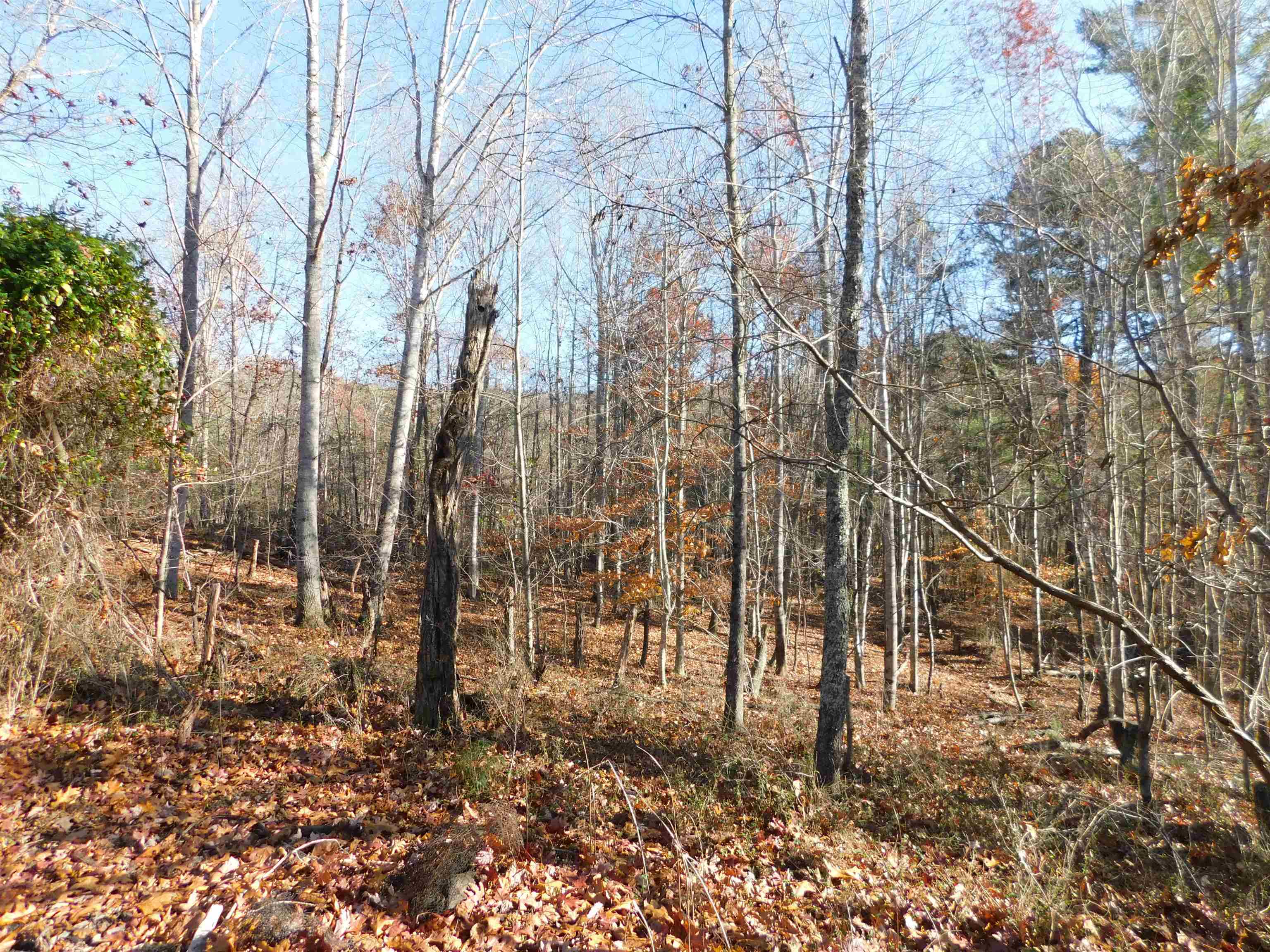 3525 Big Branch Road Riner VA 24149