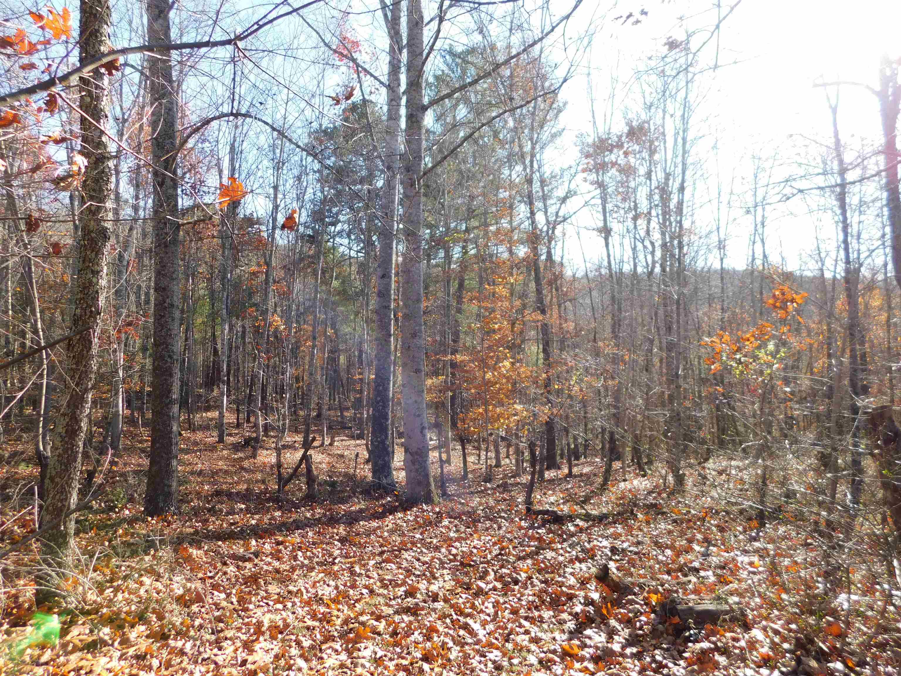 3525 Big Branch Road Riner VA 24149