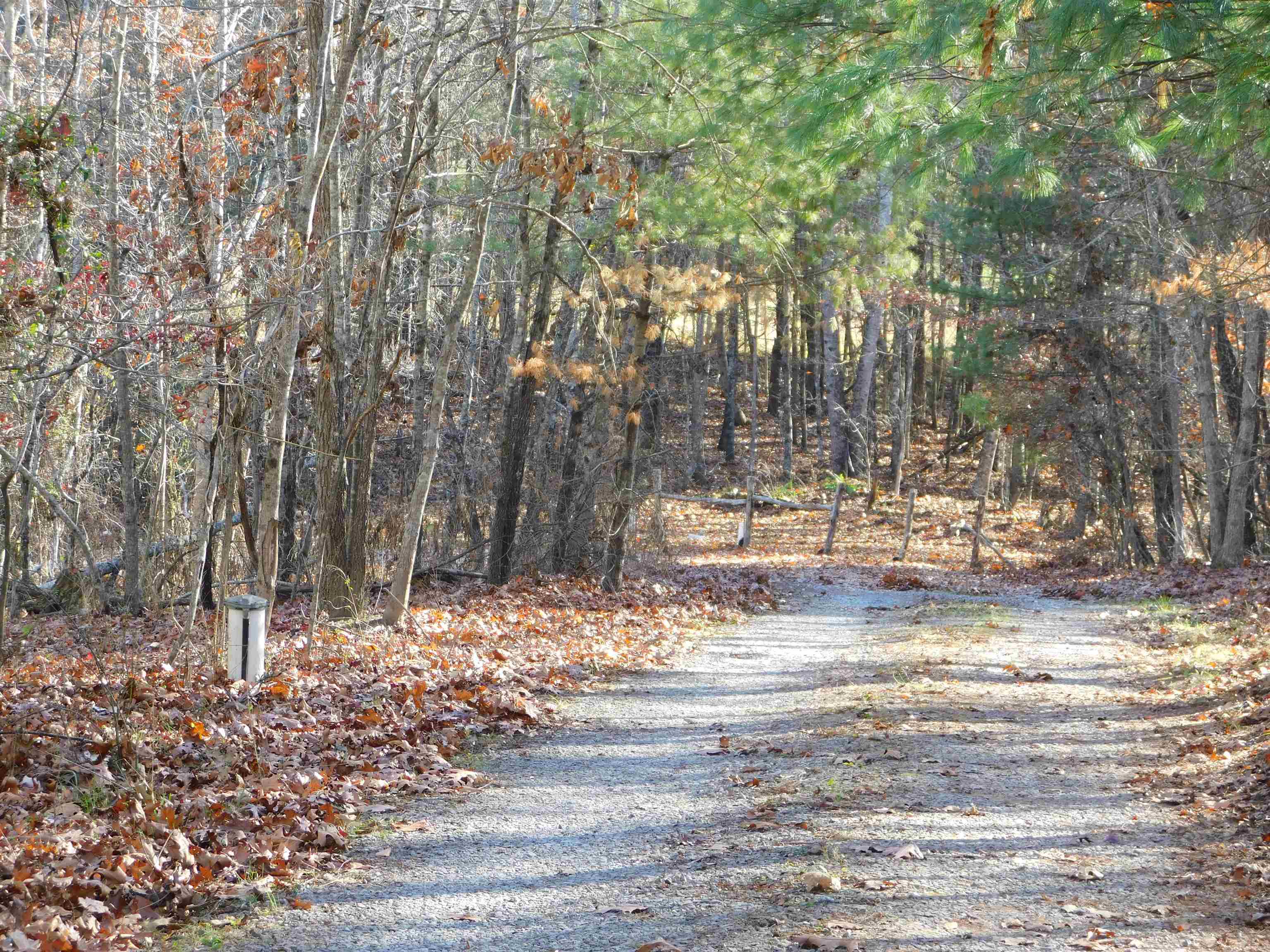 3525 Big Branch Road Riner VA 24149