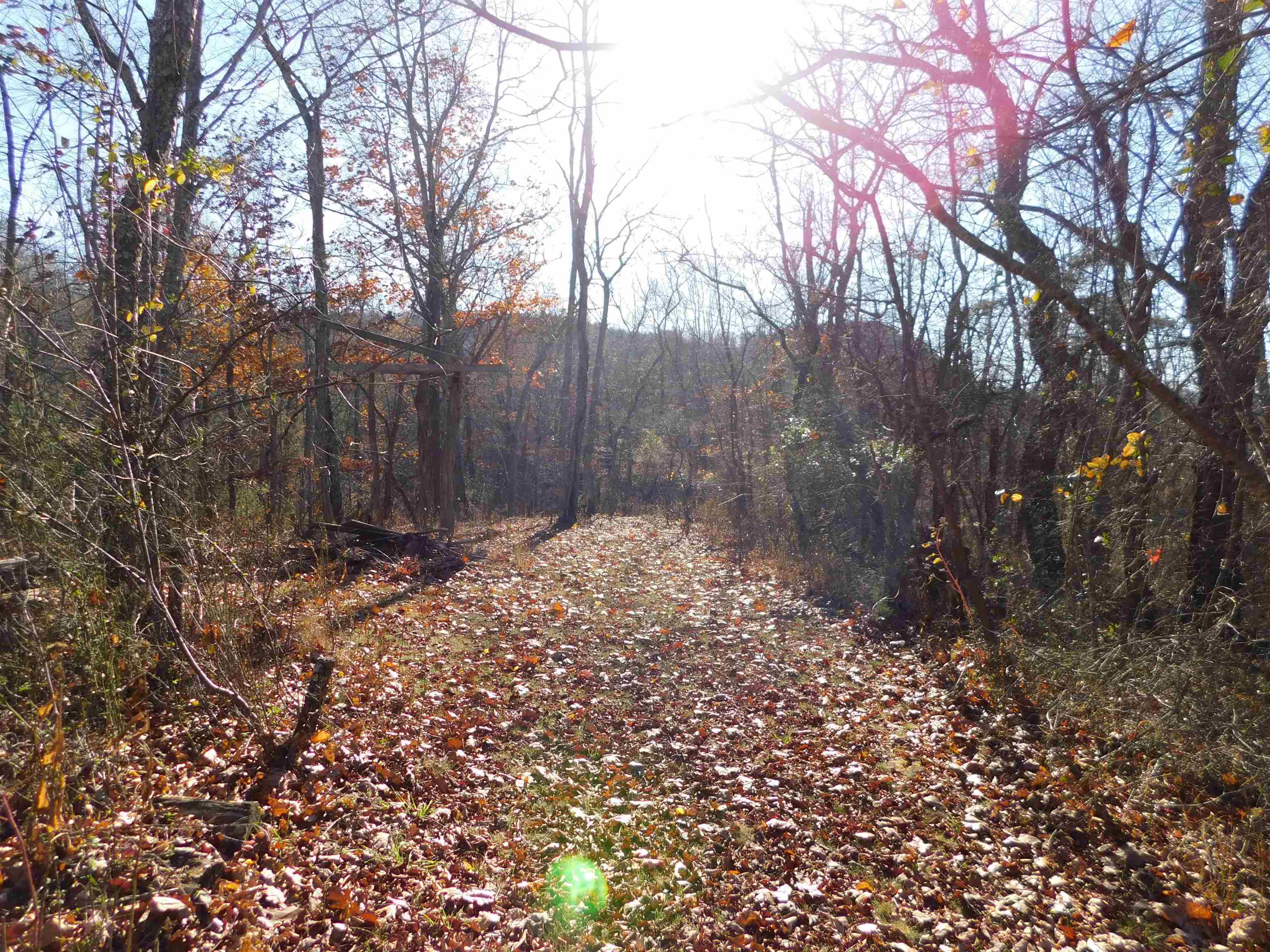 3525 Big Branch Road Riner VA 24149