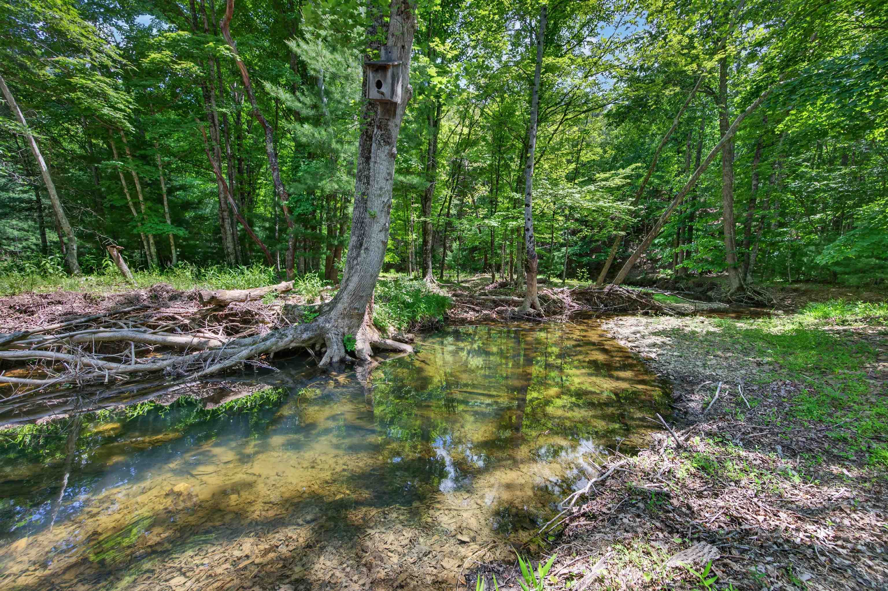 2557 Craig Creek Road Blacksburg VA 24060