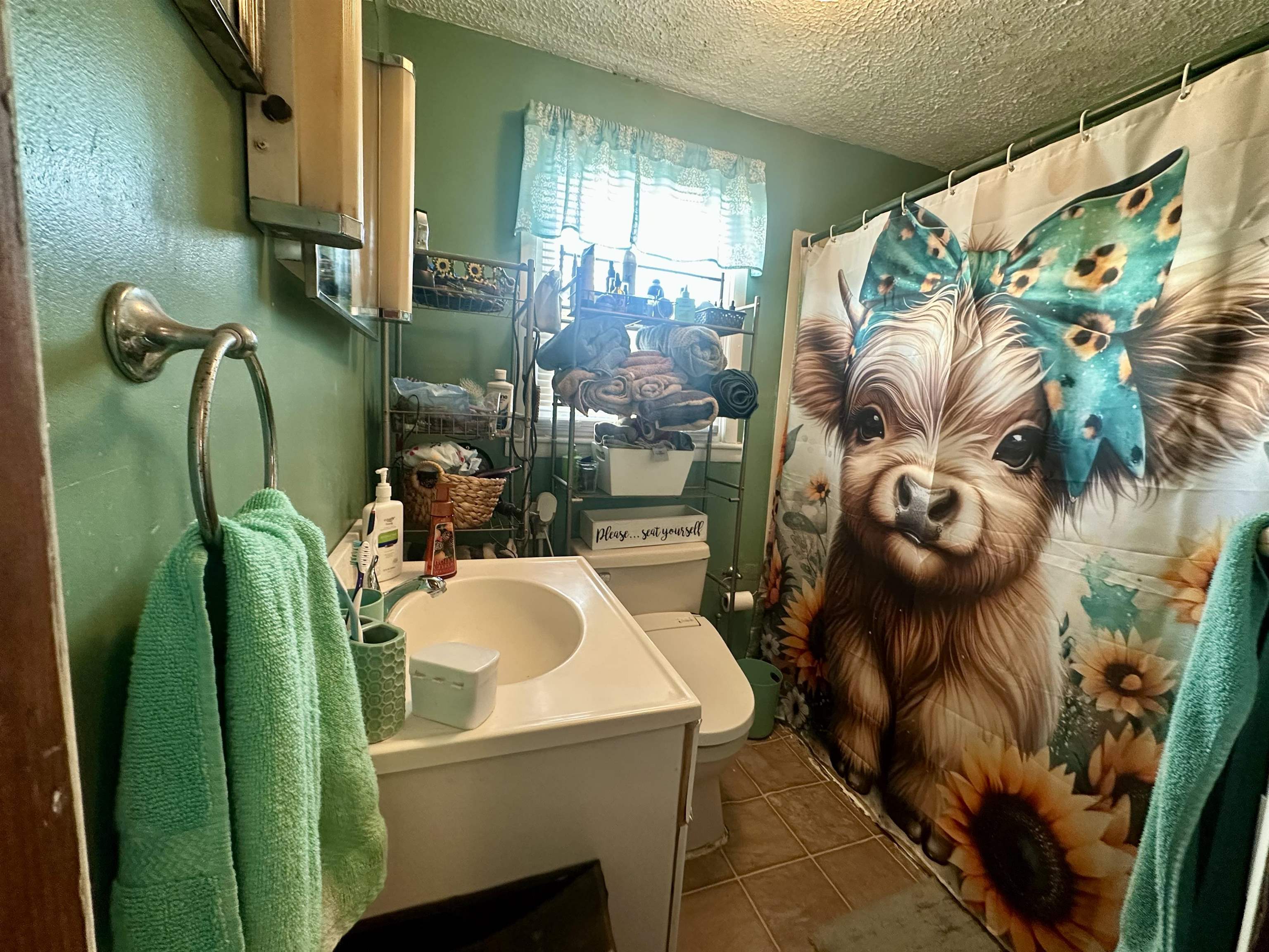 6308 Parrott Mountain Road Parrott VA 24132