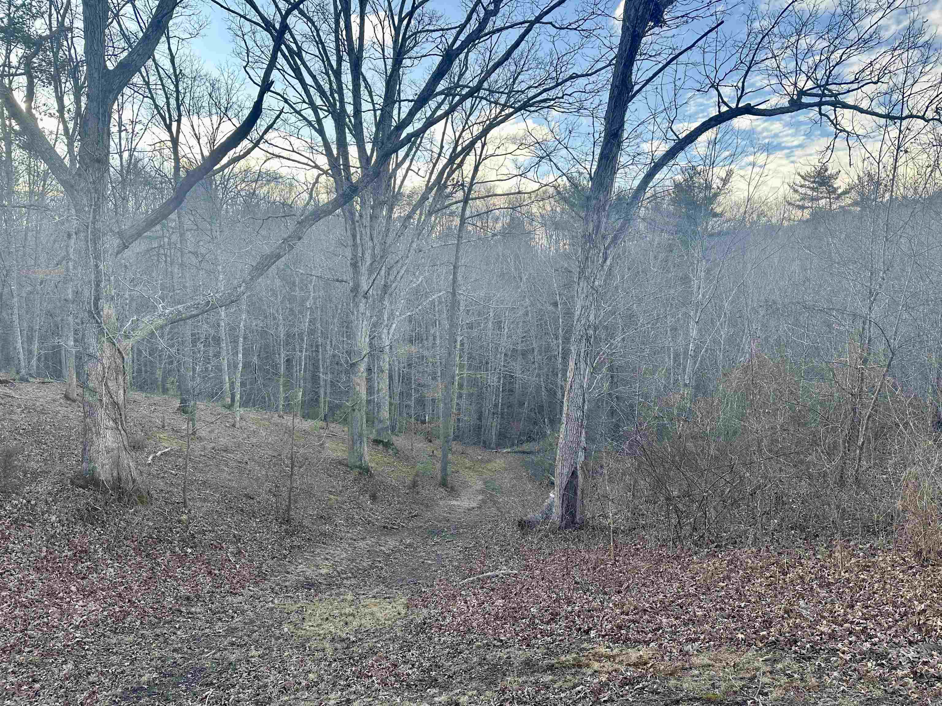 6308 Parrott Mountain Road Parrott VA 24132