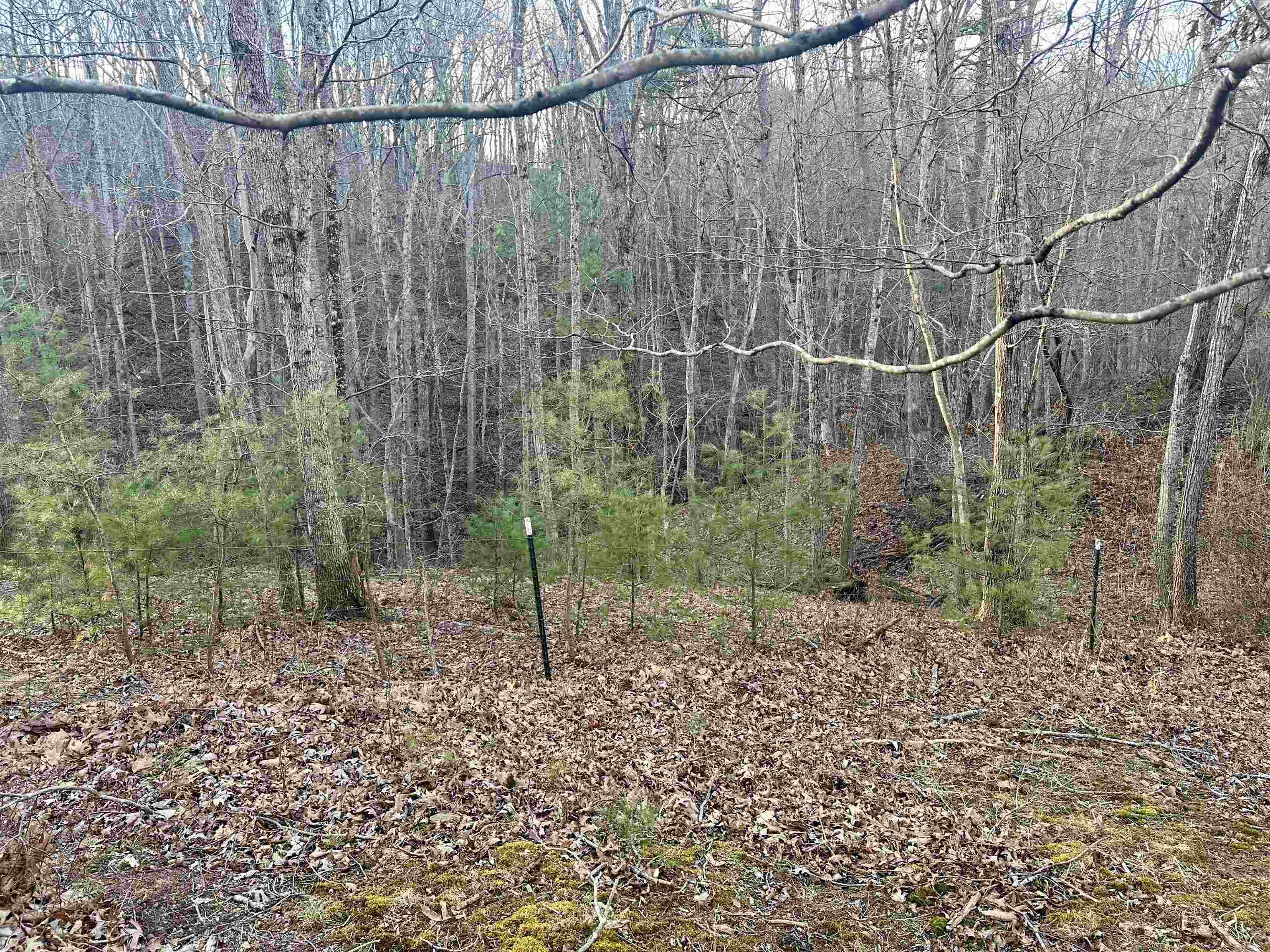 6308 Parrott Mountain Road Parrott VA 24132