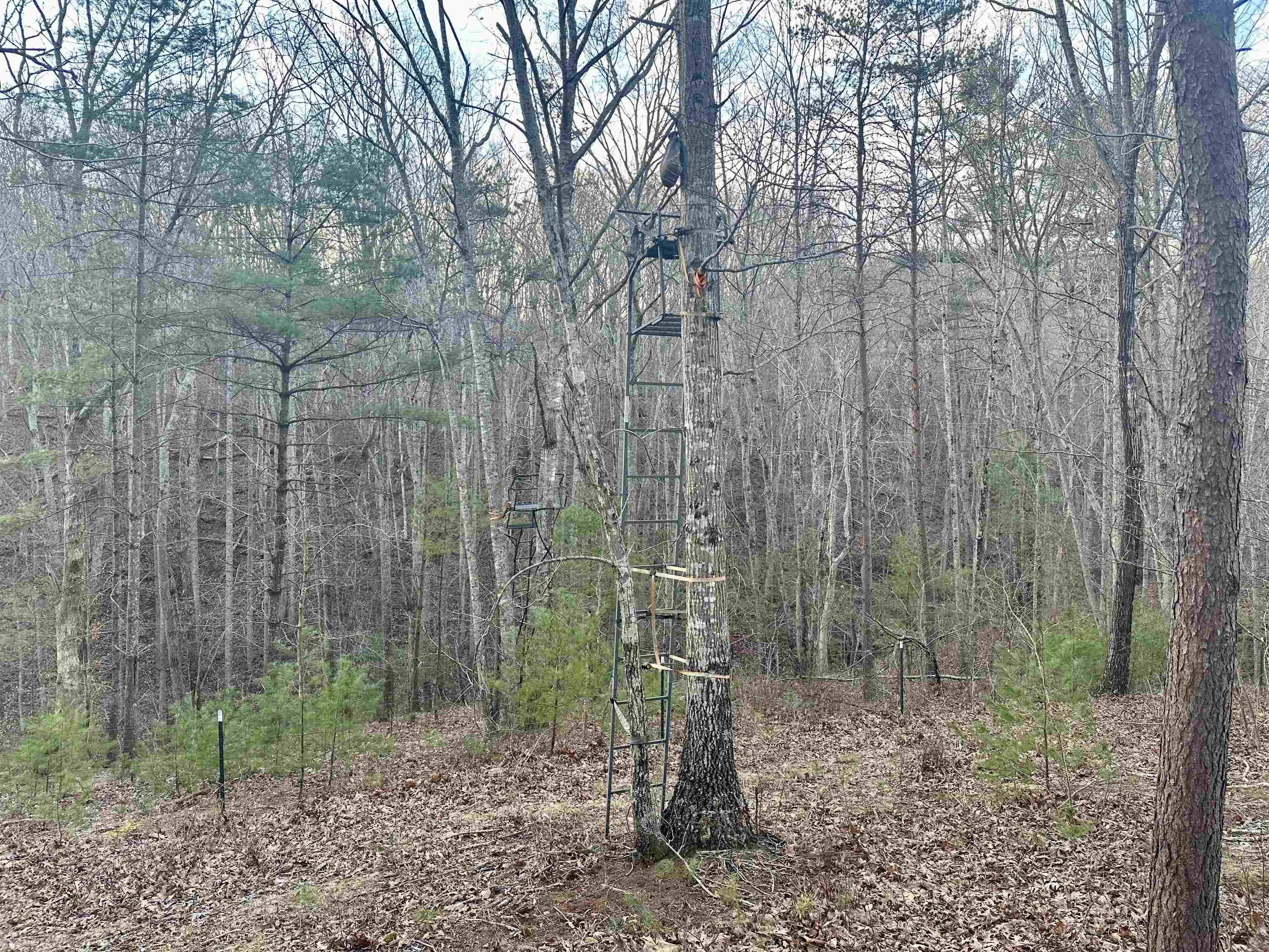 6308 Parrott Mountain Road Parrott VA 24132