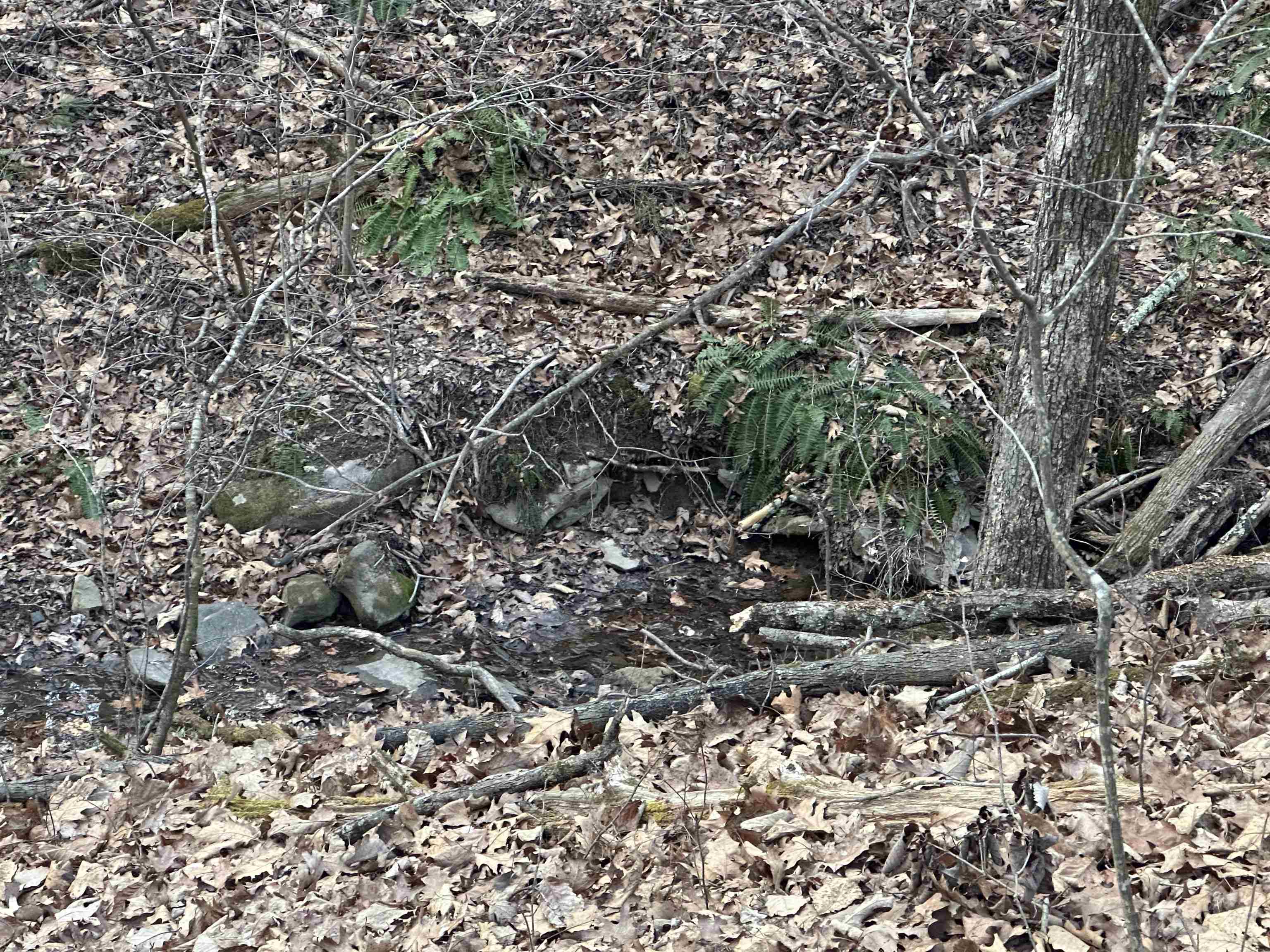 6308 Parrott Mountain Road Parrott VA 24132