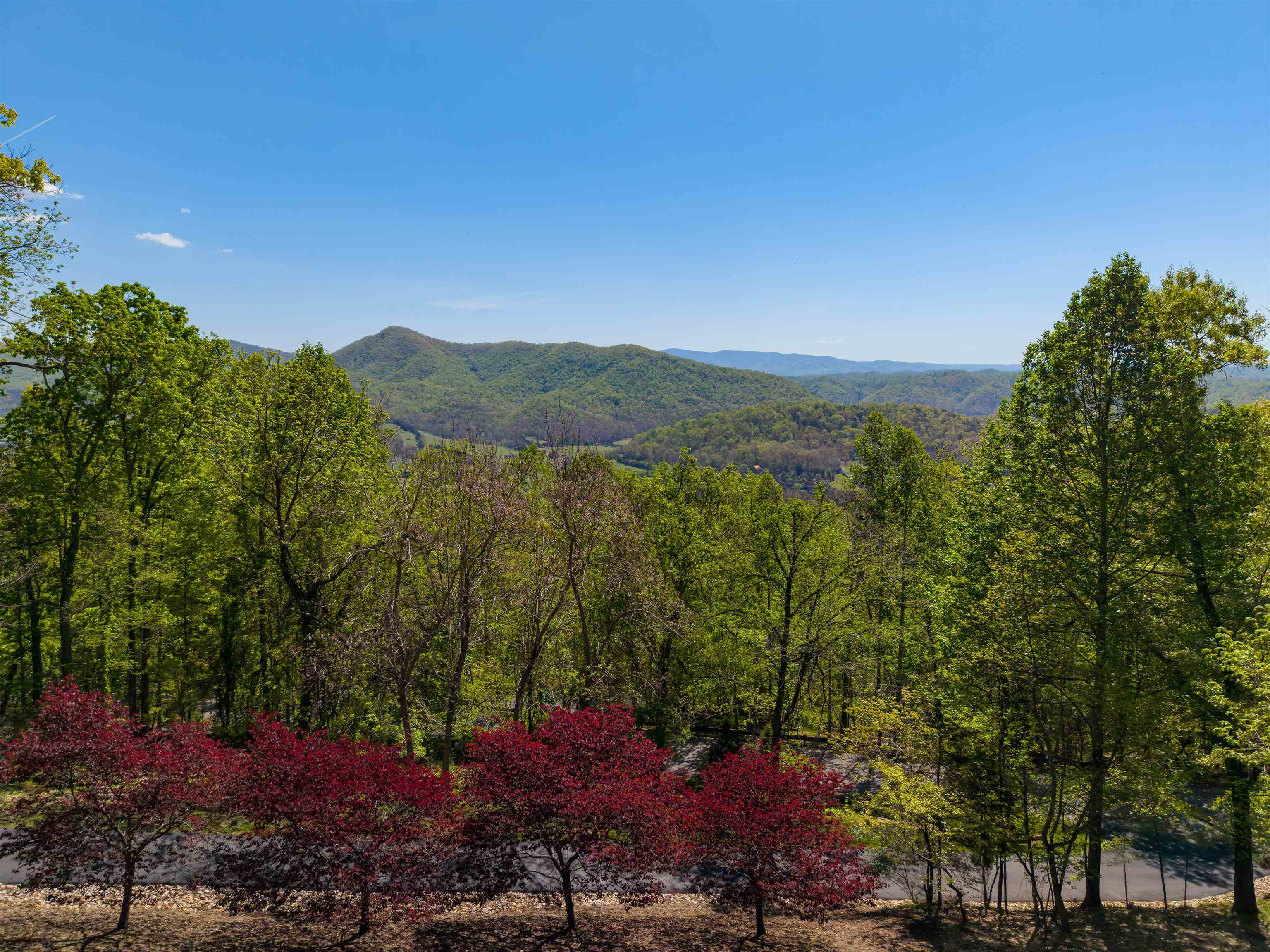 1345 Falcon Ridge Road Blacksburg VA 24060