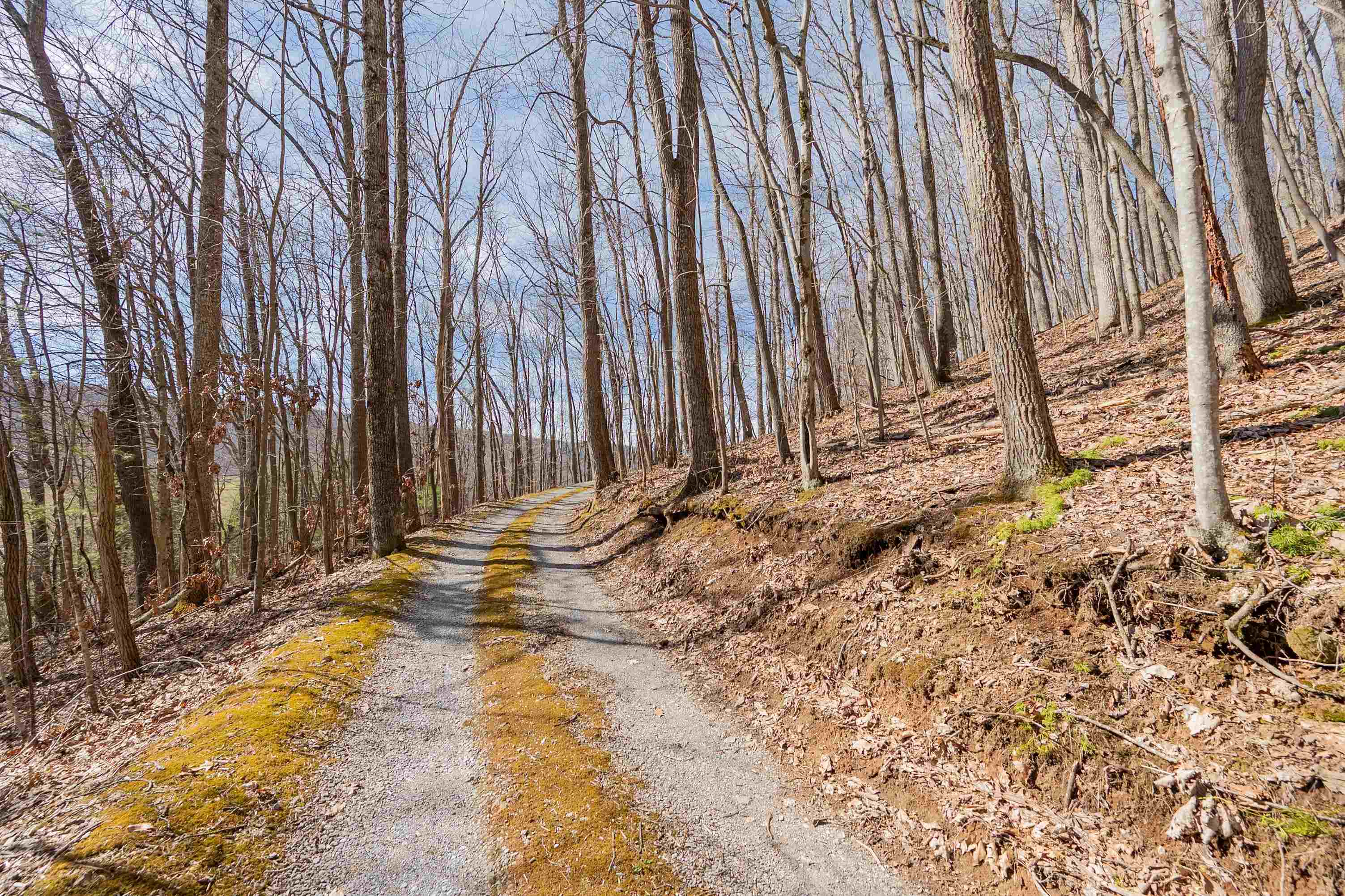 365 Olympic Drive Tazewell VA 24651