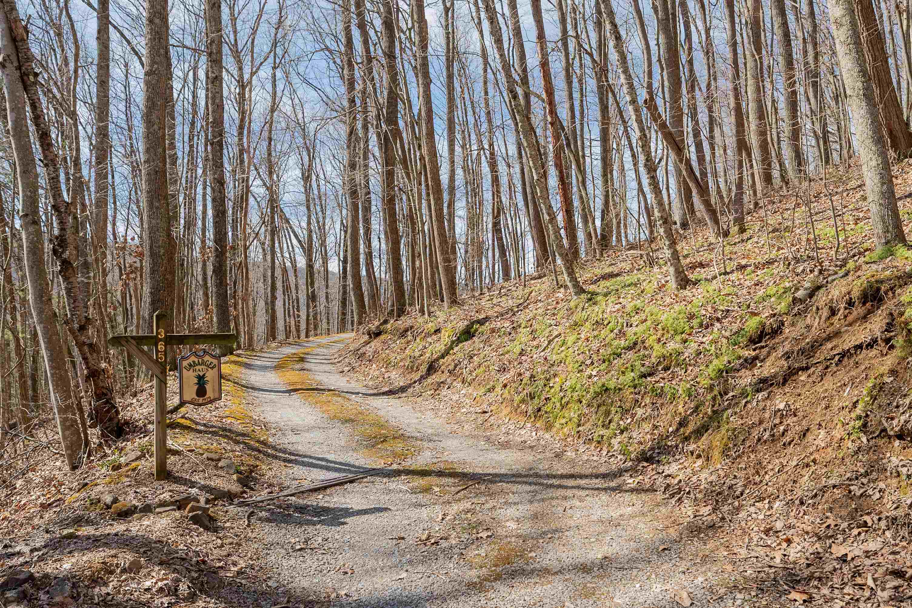 365 Olympic Drive Tazewell VA 24651