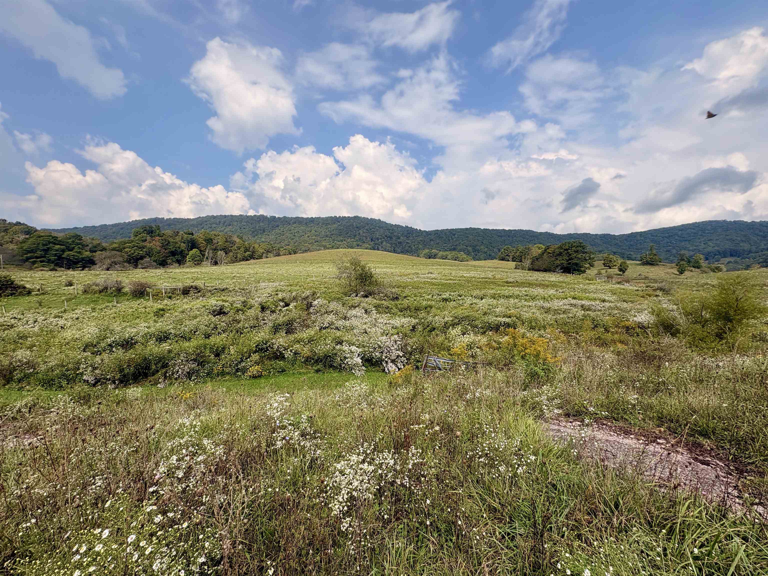 1754 Gose Mill Road Tazewell VA 24651