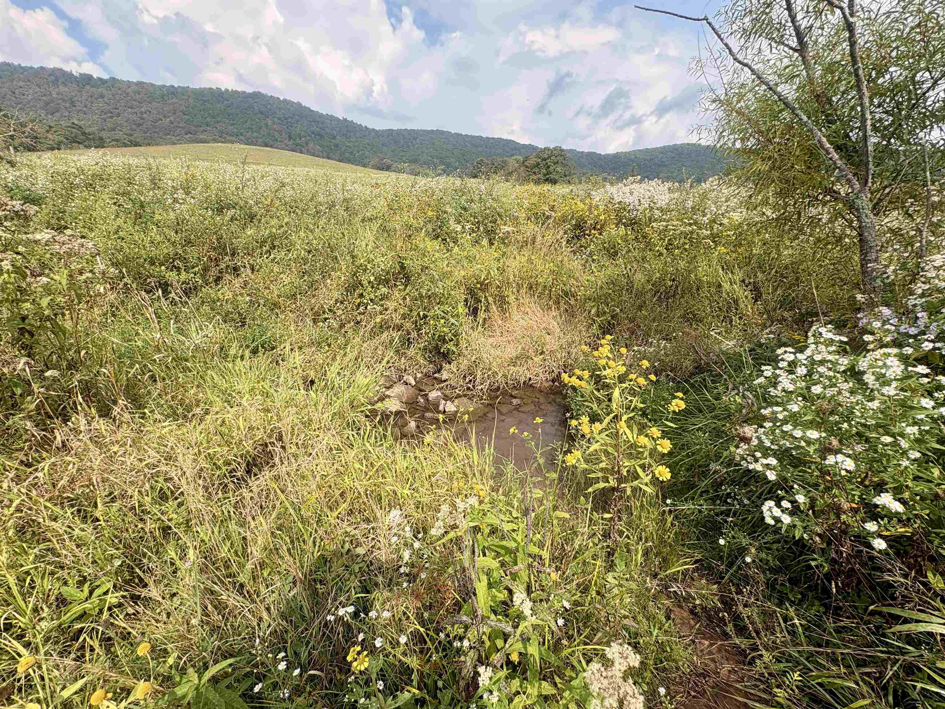 1754 Gose Mill Road Tazewell VA 24651