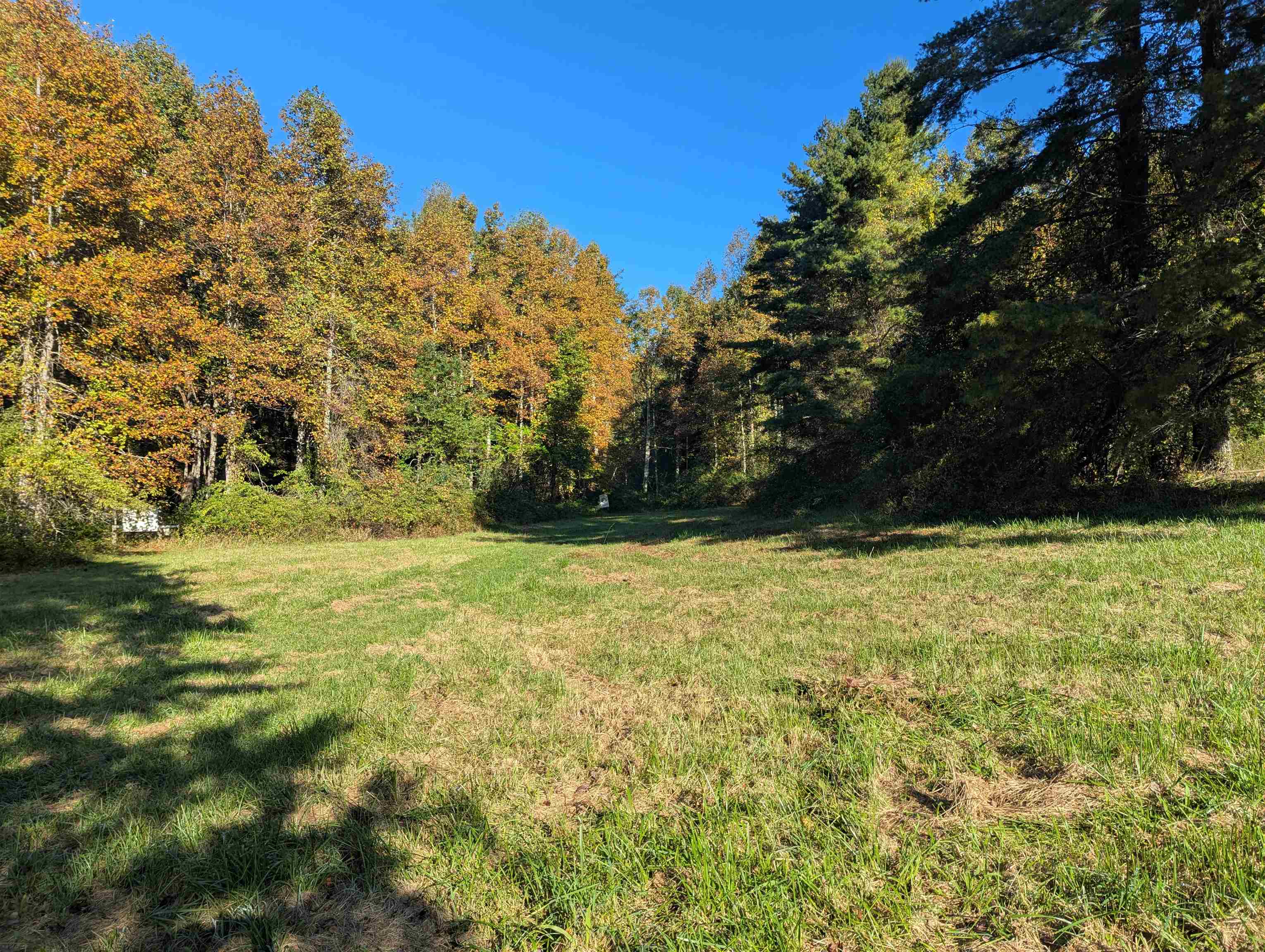 6617 Floyd Highway N Check VA 24072