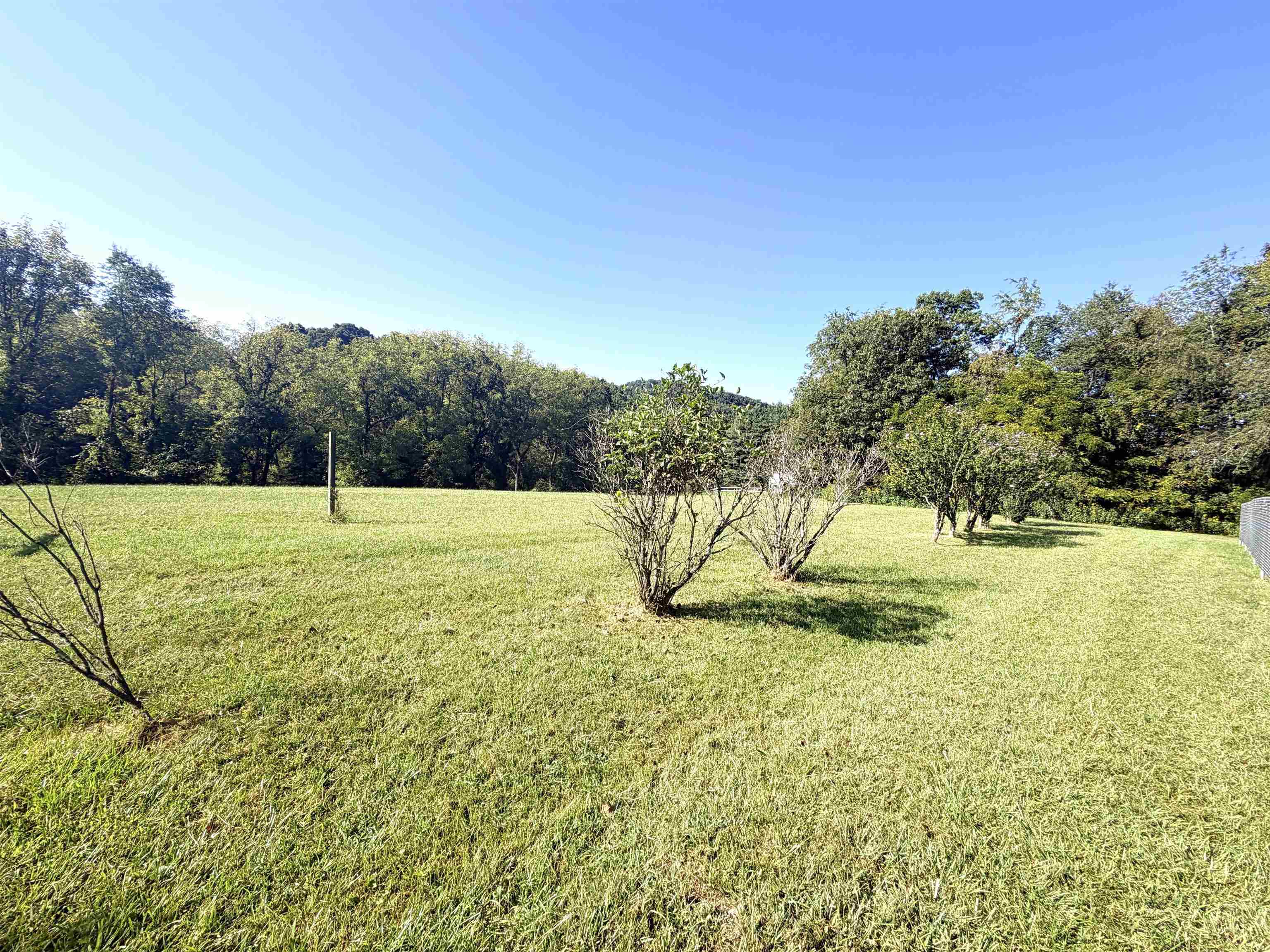 5703 Blue Springs Road Hiwassee VA 24347