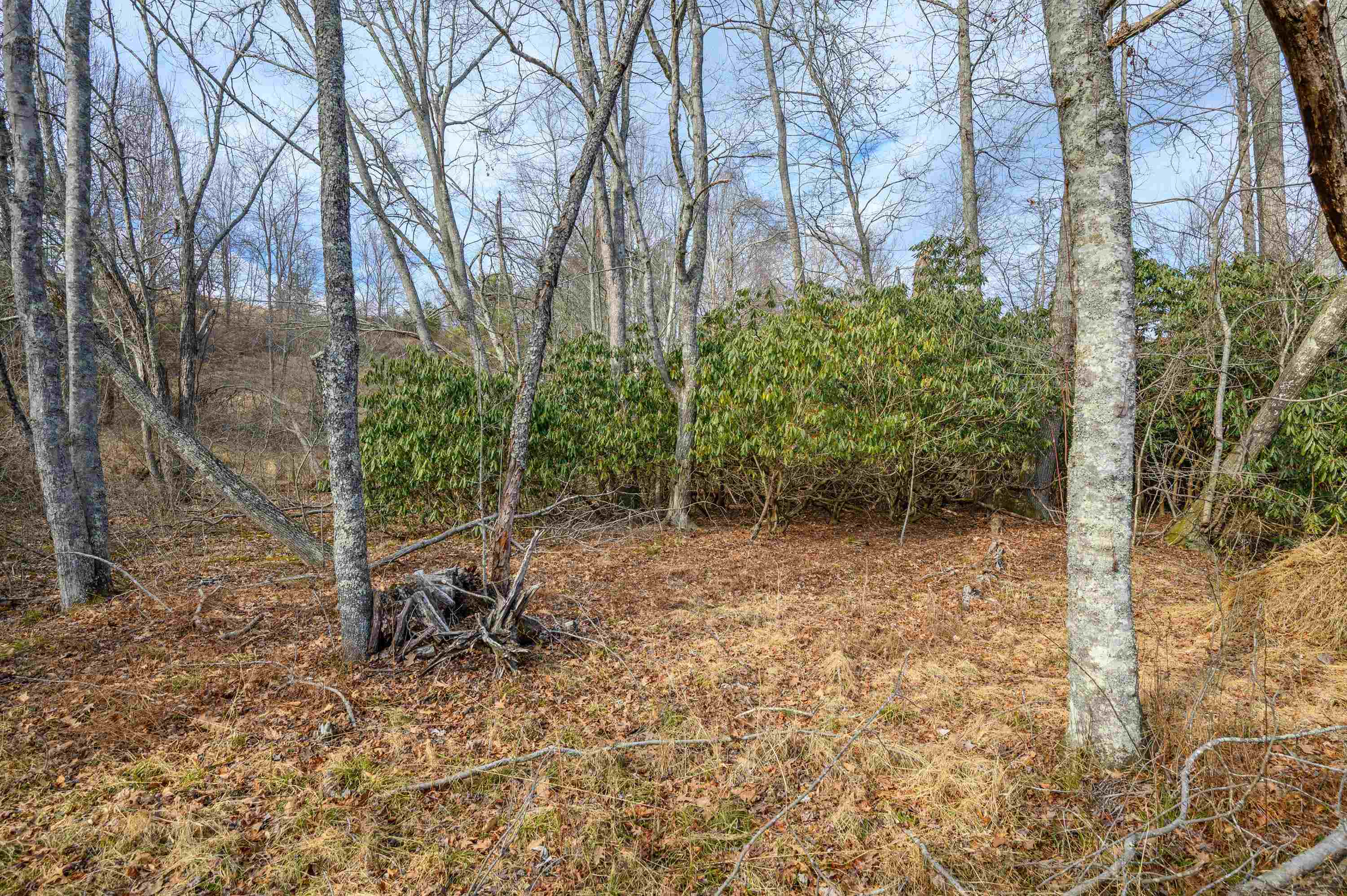 1017 Turner Spur Road Fancy Gap VA 24328